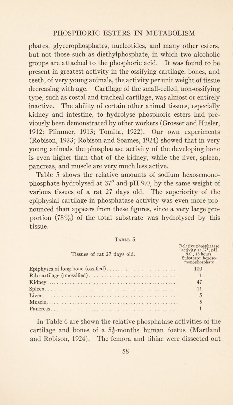 phates, glycerophosphates, nucleotides, and many other esters, but not those such as diethylphosphate, in which two alcoholic groups are attached to the phosphoric acid. It was found to be present in greatest activity in the ossifying cartilage, bones, and teeth, of very young animals, the activity per unit weight of tissue decreasing with age. Cartilage of the small-celled, non-ossifying type, such as costal and tracheal cartilage, was almost or entirely inactive. The ability of certain other animal tissues, especially kidney and intestine, to hydrolyse phosphoric esters had pre- viously been demonstrated by other workers (Grosser and Husler, 1912; Plimmer, 1913; Tomita, 1922). Our own experiments (Robison, 1923; Robison and Soames, 1924) showed that in very young animals the phosphatase activity of the developing bone is even higher than that of the kidney, while the liver, spleen, pancreas, and muscle are very much less active. Table 5 shows the relative amounts of sodium hexosemono- phosphate hydrolysed at 37° and pH 9.0, by the same weight of various tissues of a rat 27 days old. The superiority of the epiphysial cartilage in phosphatase activity was even more pro- nounced than appears from these figures, since a very large pro- portion (78%) of the total substrate was hydrolysed by this tissue. Table 5. Tissues of rat 27 days old. Epiphyses of long bone (ossified) Rib cartilage (unossified) Kidney Spleen Liver Muscle Pancreas Relative phosphatase activity at 37°, pH 9.0., 18 hours. Substrate: hexose- monophosphate 100 1 47 11 5 5 1 In Table 6 are shown the relative phosphatase activities of the cartilage and bones of a 5§-months human foetus (Martland and Robison, 1924). The femora and tibiae were dissected out
