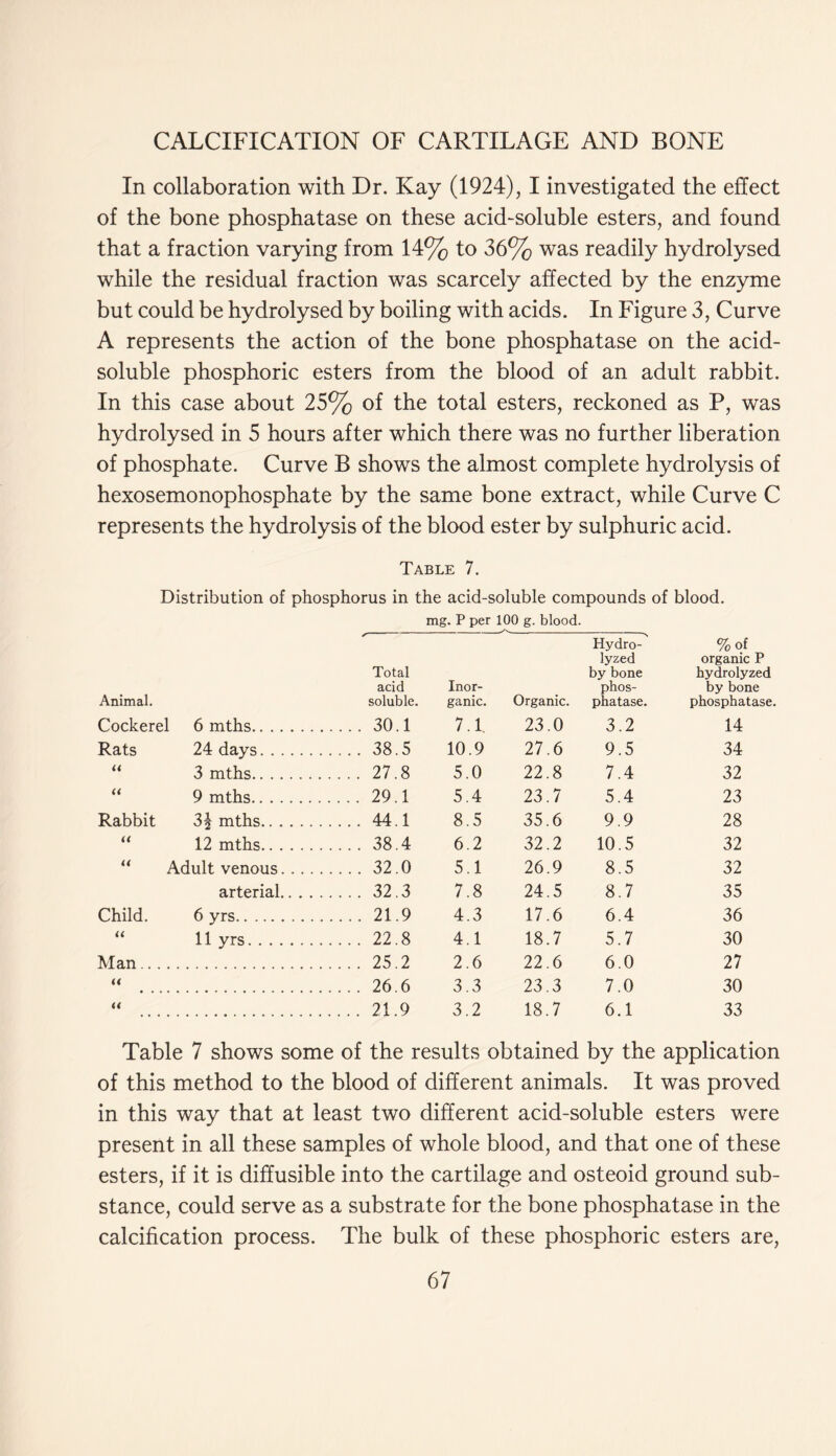 In collaboration with Dr. Kay (1924), I investigated the effect of the bone phosphatase on these acid-soluble esters, and found that a fraction varying from 14% to 36% was readily hydrolysed while the residual fraction was scarcely affected by the enzyme but could be hydrolysed by boiling with acids. In Figure 3, Curve A represents the action of the bone phosphatase on the acid- soluble phosphoric esters from the blood of an adult rabbit. In this case about 25% of the total esters, reckoned as P, was hydrolysed in 5 hours after which there was no further liberation of phosphate. Curve B shows the almost complete hydrolysis of hexosemonophosphate by the same bone extract, while Curve C represents the hydrolysis of the blood ester by sulphuric acid. Table 7. Distribution of phosphorus in the acid-soluble compounds of blood. mg. P per 100 g. blood. Animal. Total acid soluble. Inor- ganic. Organic. Hydro- lyzed by bone phos- phatase. %of organic P hydrolyzed by bone phosphatase. Cockerel 6 mths .... 30.1 7.1. 23.0 3.2 14 Rats 24 days 38.5 10.9 27.6 9.5 34 U 3 mths .... 27.8 5.0 22.8 7.4 32 a 9 mths . . . . 29.1 5.4 23.7 5.4 23 Rabbit 3^ mths .... 44.1 8.5 35.6 9.9 28 12 mths .... 38.4 6.2 32.2 10.5 32 a Adult venous . . . . 32.0 5.1 26.9 8.5 32 arterial .... 32.3 7.8 24.5 8.7 35 Child. 6 yrs .... 21.9 4.3 17.6 6.4 36 U 11 yrs .... 22.8 4.1 18.7 5.7 30 Man.. . .... 25.2 2.6 22.6 6.0 27 a .... 26.6 3.3 23.3 7.0 30 a . . . . 21.9 3.2 18.7 6.1 33 Table 7 shows some of the results obtained by the application of this method to the blood of different animals. It was proved in this way that at least two different acid-soluble esters were present in all these samples of whole blood, and that one of these esters, if it is diffusible into the cartilage and osteoid ground sub- stance, could serve as a substrate for the bone phosphatase in the calcification process. The bulk of these phosphoric esters are,