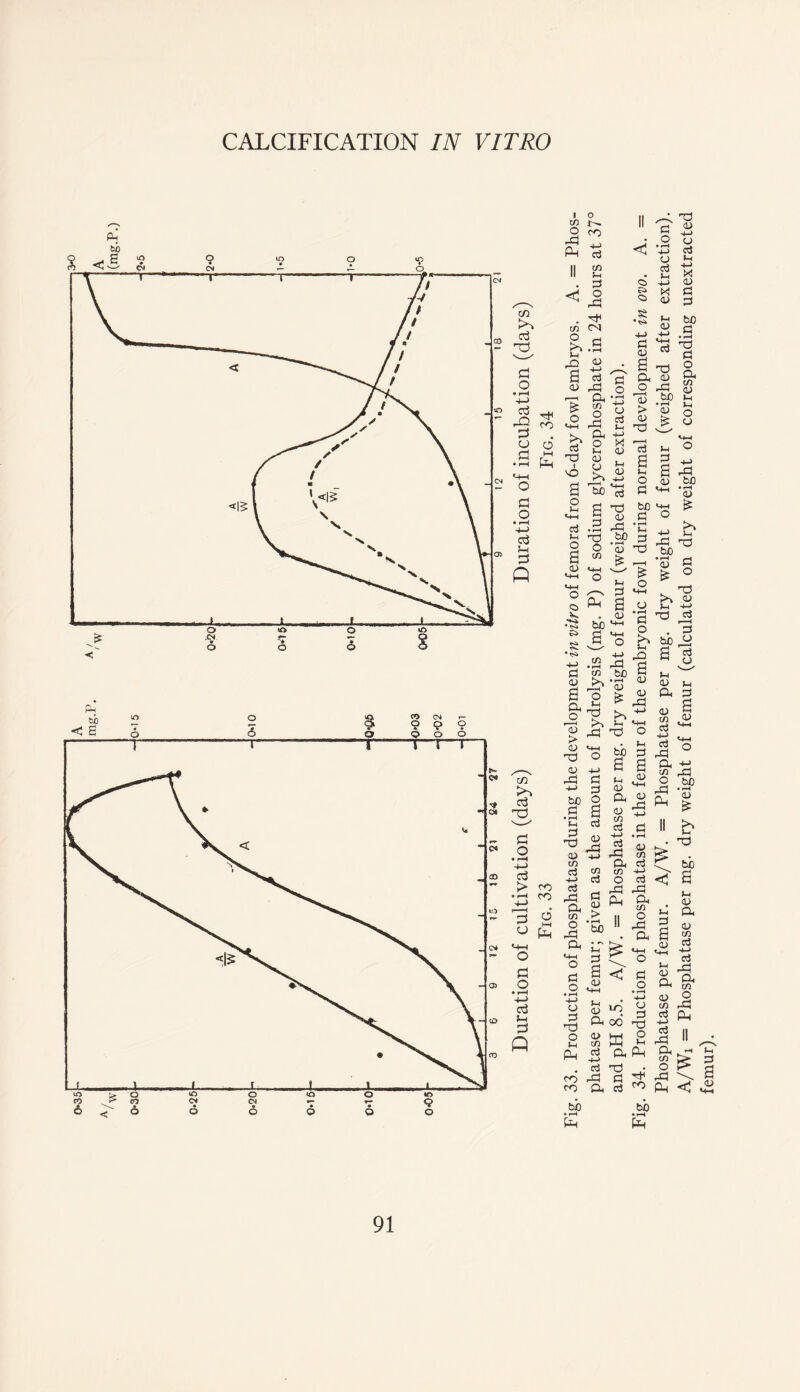 1 o m O co £ * II 2 . d <£ . m cn n <u g rt 0) 43 -t; ^ > c/1 ^ o 2 CO <4H rd S^2 £ y 2 ^ & S 'bJD 2 6 * .2 2 ° B 00 S3 m-h ^ o M-* •S tii » g s 3- •>s> tn <u •4H x> O o> -»-> 43 d +-> d to o • r-H H cj d X) O 0) C/1 +-> cj C/2 +-> cj co cj CO 43 Ch d O, c/l 0) > M Pm O dd • rH bo G. J-T O a cj c o • f-H a <D «-fH +-> CJ (V d od Cu o <v Ph ci 4-> cd ra co O. to • f-H (H 91 and pH 8.5. A/W. = Phosphatase per mg. dry weight of femur (weighed after extraction). Fig. 34. Production of phosphatase in the femur of the embryonic fowl during normal development in ovo. A. = Phosphatase per femur. A/W. = Phosphatase per mg. dry weight of femur (weighed after extraction). A/Wi = Phosphatase per mg. dry weight of femur (calculated on dry weight of corresponding unextracted