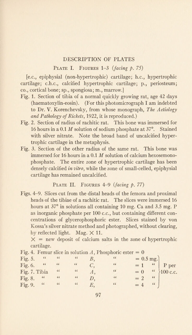 Plate I. Figures 1-3 (facing p. 75) [e.c., epiphysial (non-hypertrophic) cartilage; h.c., hypertrophic cartilage; c.h.c., calcified hypertrophic cartilage; p., periosteum; co., cortical bone; sp., spongiosa; m., marrow.] Fig. 1. Section of tibia of a normal quickly growing rat, age 42 days (haematoxylin-eosin). (For this photomicrograph I am indebted to Dr. V. Korenchevsky, from whose monograph, The Aetiology and Pathology of Rickets, 1922, it is reproduced.) Fig. 2. Section of radius of rachitic rat. This bone was immersed for 16 hours in a 0.1 M solution of sodium phosphate at 37°. Stained with silver nitrate. Note the broad band of uncalcified hyper- trophic cartilage in the metaphysis. Fig. 3. Section of the other radius of the same rat. This bone was immersed for 16 hours in a 0.1 M solution of calcium hexosemono- phosphate. The entire zone of hypertrophic cartilage has been densely calcified in vitro, while the zone of small-celled, epiphysial cartilage has remained uncalcified. Plate II. Figures 4-9 (facing p. 77) Figs. 4-9. Slices cut from the distal heads of the femora and proximal heads of the tibiae of a rachitic rat. The slices were immersed 16 hours at 37° in solutions all containing 10 mg. Ca and 3.5 mg. P as inorganic phosphate per 100 c.c., but containing different con- centrations of glycerophosphoric ester. Slices stained by von Ivossa’s silver nitrate method and photographed, without clearing, by reflected light. Mag. X 11. X = new deposit of calcium salts in the zone of hypertrophic cartilage. Fig. 4. Femur slice in solution A, Phosphoric ester = 0 Fig. 5. “ a u B, U = 0.5 mg. Fig. 6. “ u u c, U = 1 “ P per Fig. 7. Tibia u u A, u V* O II TOO c.c Fig. 8. “ u u D, « = 2 “ Fig. 9. “ u (£ E, u II