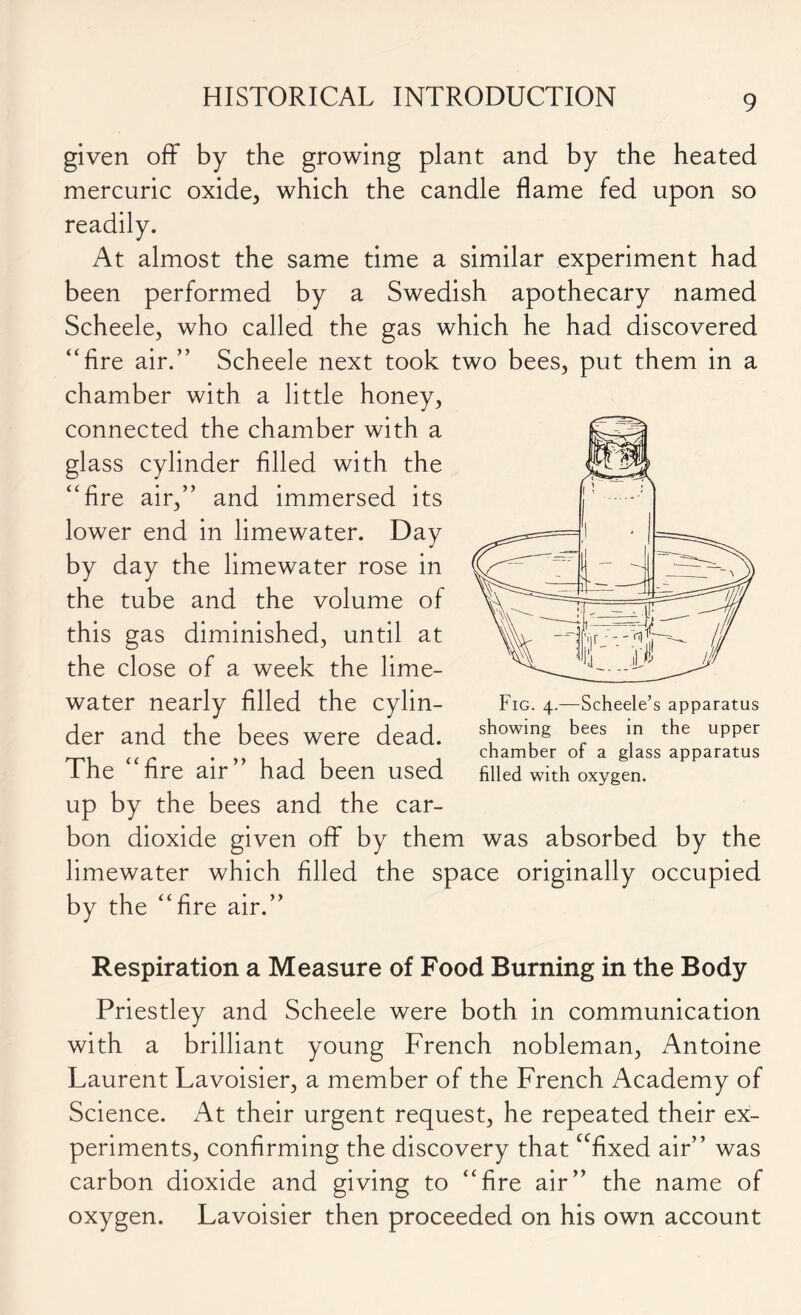 given off by the growing plant and by the heated mercuric oxide, which the candle flame fed upon so readily. At almost the same time a similar experiment had been performed by a Swedish apothecary named Scheele, who called the gas which he had discovered “fire air.” Scheele next took two bees, put them in a chamber with a little honey, connected the chamber with a glass cylinder filled with the “fire air,” and immersed its lower end in limewater. Day by day the limewater rose in the tube and the volume of this gas diminished, until at the close of a week the lime- water nearly filled the cylin- der and the bees were dead. The “fire air” had been used up by the bees and the car- bon dioxide given off by them was absorbed by the limewater which filled the space originally occupied by the “fire air.” Respiration a Measure of Food Burning in the Body Priestley and Scheele were both in communication with a brilliant young French nobleman, Antoine Laurent Lavoisier, a member of the French Academy of Science. At their urgent request, he repeated their ex- periments, confirming the discovery that “fixed air” was carbon dioxide and giving to “fire air” the name of oxygen. Lavoisier then proceeded on his own account chamber of a glass apparatus filled with oxygen.