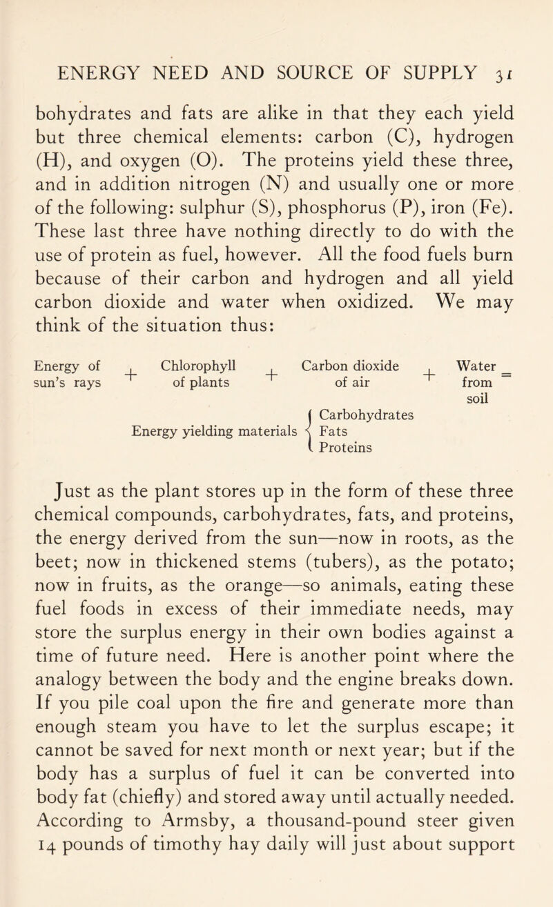 bohydrates and fats are alike in that they each yield but three chemical elements: carbon (C), hydrogen (H), and oxygen (O). The proteins yield these three, and in addition nitrogen (N) and usually one or more of the following: sulphur (S), phosphorus (P), iron (Fe). These last three have nothing directly to do with the use of protein as fuel, however. All the food fuels burn because of their carbon and hydrogen and all yield carbon dioxide and water when oxidized. We may think of the situation thus: Energy of . Chlorophyll . Carbon dioxide , Water sun’s rays ' of plants of air from soil | Carbohydrates Energy yielding materials < Fats l Proteins Just as the plant stores up in the form of these three chemical compounds, carbohydrates, fats, and proteins, the energy derived from the sun—now in roots, as the beet; now in thickened stems (tubers), as the potato; now in fruits, as the orange—so animals, eating these fuel foods in excess of their immediate needs, may store the surplus energy in their own bodies against a time of future need. Here is another point where the analogy between the body and the engine breaks down. If you pile coal upon the fire and generate more than enough steam you have to let the surplus escape; it cannot be saved for next month or next year; but if the body has a surplus of fuel it can be converted into body fat (chiefly) and stored away until actually needed. According to Armsby, a thousand-pound steer given 14 pounds of timothy hay daily will just about support