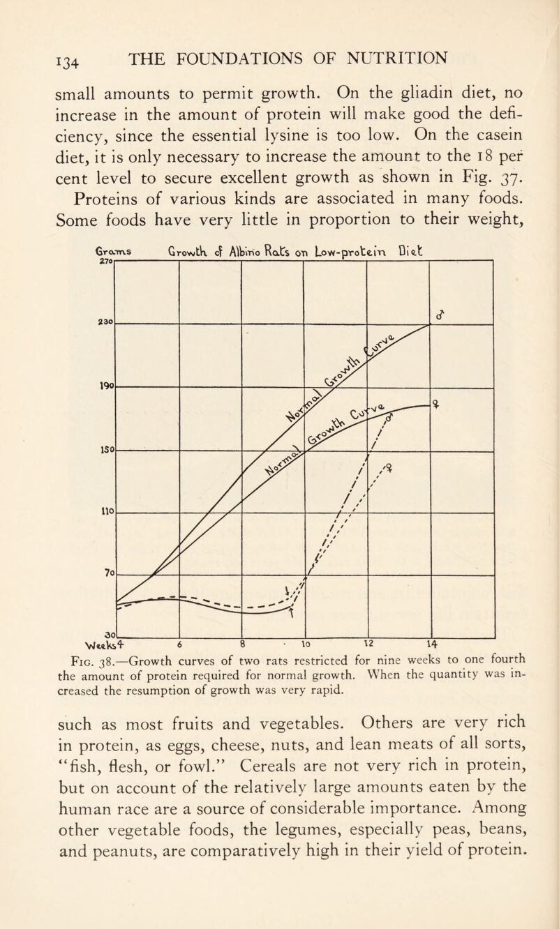 *34 small amounts to permit growth. On the gliadin diet, no increase in the amount of protein will make good the defi- ciency, since the essential lysine is too low. On the casein diet, it is only necessary to increase the amount to the 18 per cent level to secure excellent growth as shown in Fig. 37- Proteins of various kinds are associated in many foods. Some foods have very little in proportion to their weight, Fig. 38.—Growth curves of two rats restricted for nine weeks to one fourth the amount of protein required for normal growth. When the quantity was in- creased the resumption of growth was very rapid. such as most fruits and vegetables. Others are very rich in protein, as eggs, cheese, nuts, and lean meats of all sorts, “fish, flesh, or fowl.” Cereals are not very rich in protein, but on account of the relatively large amounts eaten by the human race are a source of considerable importance. Among other vegetable foods, the legumes, especially peas, beans, and peanuts, are comparatively high in their yield of protein.