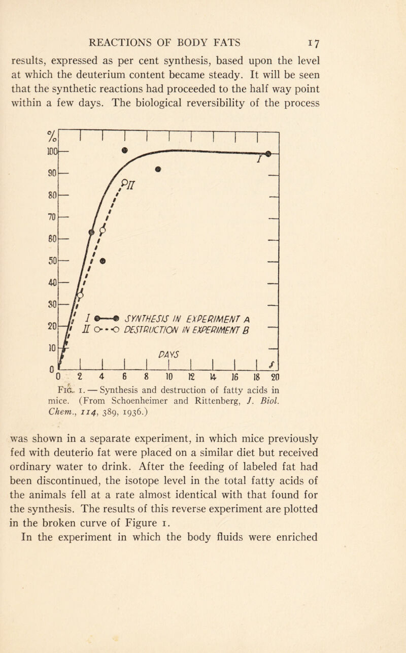 results, expressed as per cent synthesis, based upon the level at which the deuterium content became steady. It will be seen that the synthetic reactions had proceeded to the half way point within a few days. The biological reversibility of the process f. Fig., 1. — Synthesis and destruction of fatty acids in mice. (From Schoenheimer and Rittenberg, J. Biol. Chem., 114, 389, 1936.) was shown in a separate experiment, in which mice previously fed with deuterio fat were placed on a similar diet but received ordinary water to drink. After the feeding of labeled fat had been discontinued, the isotope level in the total fatty acids of the animals fell at a rate almost identical with that found for the synthesis. The results of this reverse experiment are plotted in the broken curve of Figure 1. In the experiment in which the body fluids were enriched