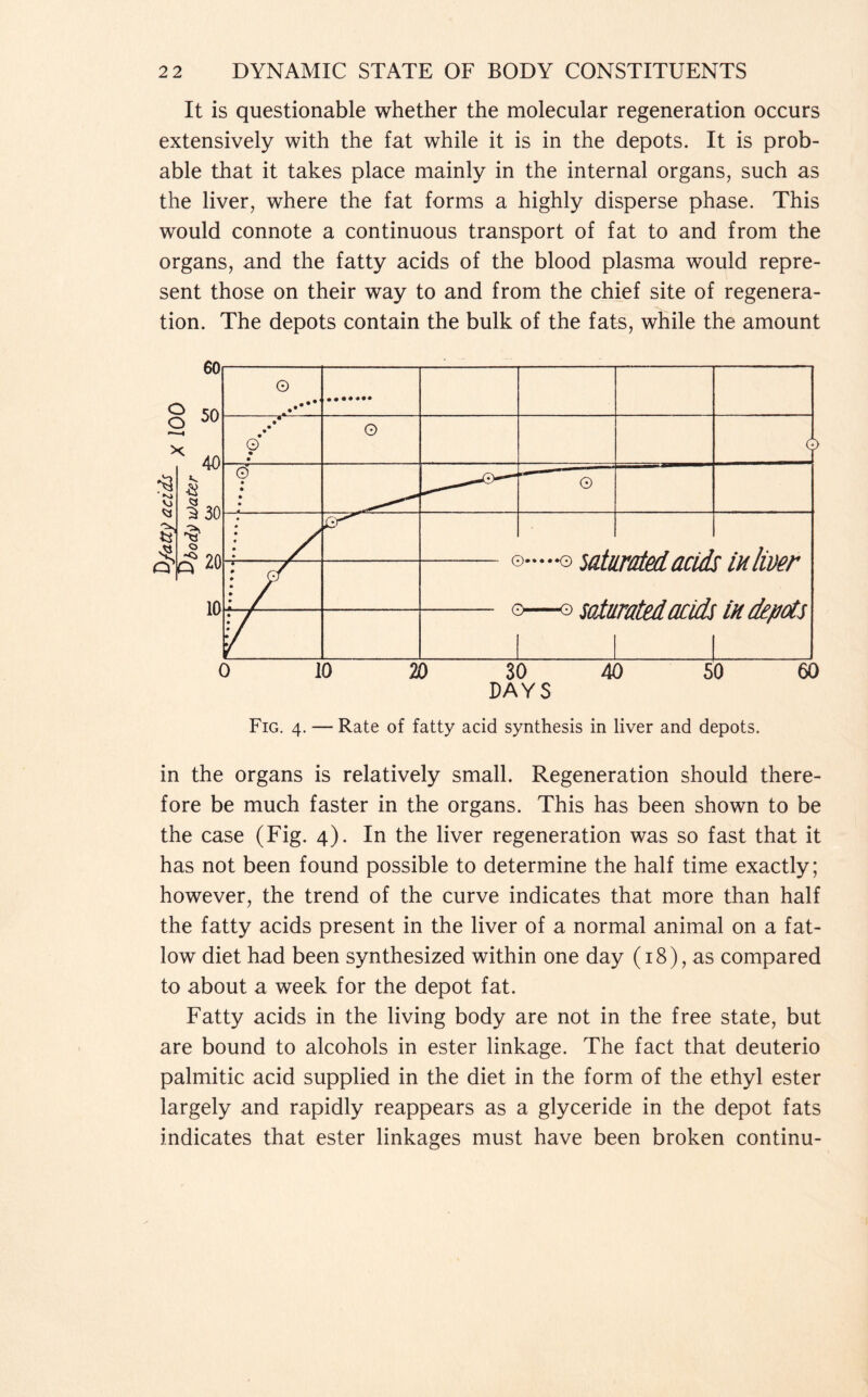 It is questionable whether the molecular regeneration occurs extensively with the fat while it is in the depots. It is prob- able that it takes place mainly in the internal organs, such as the liver, where the fat forms a highly disperse phase. This would connote a continuous transport of fat to and from the organs, and the fatty acids of the blood plasma would repre- sent those on their way to and from the chief site of regenera- tion. The depots contain the bulk of the fats, while the amount Fig. 4. — Rate of fatty acid synthesis in liver and depots. in the organs is relatively small. Regeneration should there- fore be much faster in the organs. This has been shown to be the case (Fig. 4). In the liver regeneration was so fast that it has not been found possible to determine the half time exactly; however, the trend of the curve indicates that more than half the fatty acids present in the liver of a normal animal on a fat- low diet had been synthesized within one day (18), as compared to about a week for the depot fat. Fatty acids in the living body are not in the free state, but are bound to alcohols in ester linkage. The fact that deuterio palmitic acid supplied in the diet in the form of the ethyl ester largely and rapidly reappears as a glyceride in the depot fats indicates that ester linkages must have been broken continu-