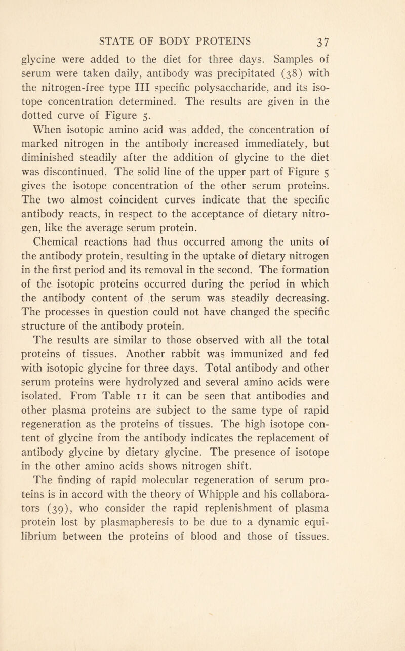 glycine were added to the diet for three days. Samples of serum were taken daily, antibody was precipitated (38) with the nitrogen-free type III specific polysaccharide, and its iso- tope concentration determined. The results are given in the dotted curve of Figure 5. When isotopic amino acid was added, the concentration of marked nitrogen in the antibody increased immediately, but diminished steadily after the addition of glycine to the diet was discontinued. The solid line of the upper part of Figure 5 gives the isotope concentration of the other serum proteins. The two almost coincident curves indicate that the specific antibody reacts, in respect to the acceptance of dietary nitro- gen, like the average serum protein. Chemical reactions had thus occurred among the units of the antibody protein, resulting in the uptake of dietary nitrogen in the first period and its removal in the second. The formation of the isotopic proteins occurred during the period in which the antibody content of the serum was steadily decreasing. The processes in question could not have changed the specific structure of the antibody protein. The results are similar to those observed with all the total proteins of tissues. Another rabbit was immunized and fed with isotopic glycine for three days. Total antibody and other serum proteins were hydrolyzed and several amino acids were isolated. From Table n it can be seen that antibodies and other plasma proteins are subject to the same type of rapid regeneration as the proteins of tissues. The high isotope con- tent of glycine from the antibody indicates the replacement of antibody glycine by dietary glycine. The presence of isotope in the other amino acids shows nitrogen shift. The finding of rapid molecular regeneration of serum pro- teins is in accord with the theory of Whipple and his collabora- tors (39), who consider the rapid replenishment of plasma protein lost by plasmapheresis to be due to a dynamic equi- librium between the proteins of blood and those of tissues.