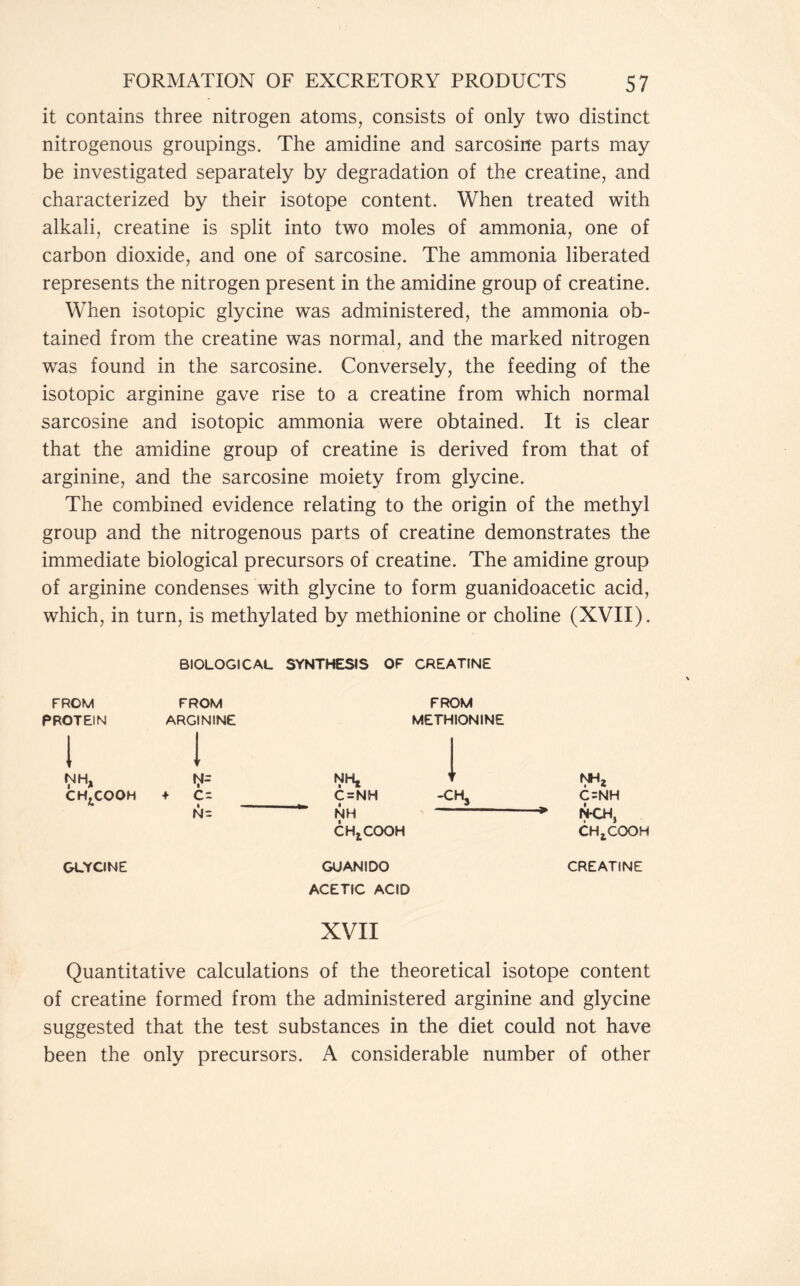 it contains three nitrogen atoms, consists of only two distinct nitrogenous groupings. The amidine and sarcosine parts may be investigated separately by degradation of the creatine, and characterized by their isotope content. When treated with alkali, creatine is split into two moles of ammonia, one of carbon dioxide, and one of sarcosine. The ammonia liberated represents the nitrogen present in the amidine group of creatine. When isotopic glycine was administered, the ammonia ob- tained from the creatine was normal, and the marked nitrogen was found in the sarcosine. Conversely, the feeding of the isotopic arginine gave rise to a creatine from which normal sarcosine and isotopic ammonia were obtained. It is clear that the amidine group of creatine is derived from that of arginine, and the sarcosine moiety from glycine. The combined evidence relating to the origin of the methyl group and the nitrogenous parts of creatine demonstrates the immediate biological precursors of creatine. The amidine group of arginine condenses with glycine to form guanidoacetic acid, which, in turn, is methylated by methionine or choline (XVII). BIOLOGICAL SYNTHESIS OF CREATINE FROM FROM FROM PROTEIN I ARGININE I METH IONINE 1 NH, i Vs NH* 1 f NH* CH^COOH + c- C=NH -ch3 C=NH N~ NH —* n-ch, CHjXOOH CH*COOH GLYCINE GUANIDO CREATINE ACETIC ACID XVII Quantitative calculations of the theoretical isotope content of creatine formed from the administered arginine and glycine suggested that the test substances in the diet could not have been the only precursors. A considerable number of other