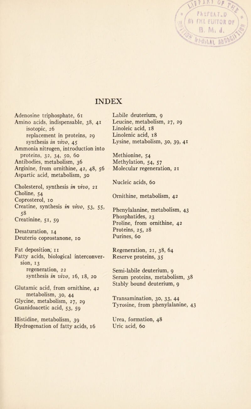 Adenosine triphosphate, 61 Amino acids, indispensable, 38, 41 isotopic, 26 replacement in proteins, 29 synthesis in vivo, 45 Ammonia nitrogen, introduction into proteins, 32, 34, 50, 60 Antibodies, metabolism, 36 Arginine, from ornithine, 42, 48, 56 Aspartic acid, metabolism, 30 Cholesterol, synthesis in vivo, 21 Choline, 54 Coprosterol, 10 Creatine, synthesis in vivo, 53, 55, 58 Creatinine, 51, 59 Desaturation, 14 Deuterio coprostanone, 10 Fat deposition; 11 Fatty acids, biological interconver- sion, 13 regeneration, 22 synthesis in vivo, 16, 18, 20 Glutamic acid, from ornithine, 42 metabolism, 30, 44 Glycine, metabolism, 27, 29 Guanidoacetic acid, 53, 59 Histidine, metabolism, 39 Hydrogenation of fatty acids, 16 Labile deuterium, 9 Leucine, metabolism, 27, 29 Linoleic acid, 18 Linolenic acid, 18 Lysine, metabolism, 30, 39, 41 Methionine, 54 Methylation, 54, 57 Molecular regeneration, 21 Nucleic acids, 60 Ornithine, metabolism, 42 Phenylalanine, metabolism, 43 Phosphatides, 23 Proline, from ornithine, 42 Proteins, 25, 28 Purines, 60 Regeneration, 21, 38, 64 Reserve proteins, 35 Semi-labile deuterium, 9 Serum proteins, metabolism, 38 Stably bound deuterium, 9 Transamination, 30, 33, 44 Tyrosine, from phenylalanine, 43 Urea, formation, 48 Uric acid, 60