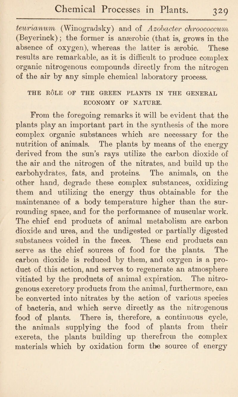 teurianum (Winogradsky) and of Azobacter chroococcum (Beyerinck); the former is anserobic (that is, grows in the absence of oxygen), whereas the latter is aerobic. These results are remarkable, as it is difficult to produce complex organic nitrogenous compounds directly from the nitrogen of the air by any simple chemical laboratory process. THE RdLE OF THE GREEN PLANTS IN THE GENERAL ECONOMY OF NATURE. From the foregoing remarks it will be evident that the plants play an important part in the synthesis of the more complex organic substances which are necessary for the nutrition of animals. The plants by means of the energy derived from the sun’s rays utilize the carbon dioxide of the air and the nitrogen of the nitrates, and build up the carbohydrates, fats, and proteins. The animals, on the other hand, degrade these complex substances, oxidizing them and utilizing the energy thus obtainable for the maintenance of a body temperature higher than the sur- rounding space, and for the performance of muscular work. The chief end products of animal metabolism are carbon dioxide and urea, and the undigested or partially digested substances voided in the faeces. These end products can serve as the chief sources of food for the plants. The carbon dioxide is reduced by them, and oxygen is a pro- duct of this action, and serves to regenerate an atmosphere vitiated by the products of animal expiration. The nitro- genous excretory products from the animal, furthermore, can be converted into nitrates by the action of various species of bacteria, and which serve directly as the nitrogenous food of plants. There is, therefore, a continuous cycle, the animals supplying the food of plants from their excreta, the plants building up therefrom the complex materials which by oxidation form the source of energy
