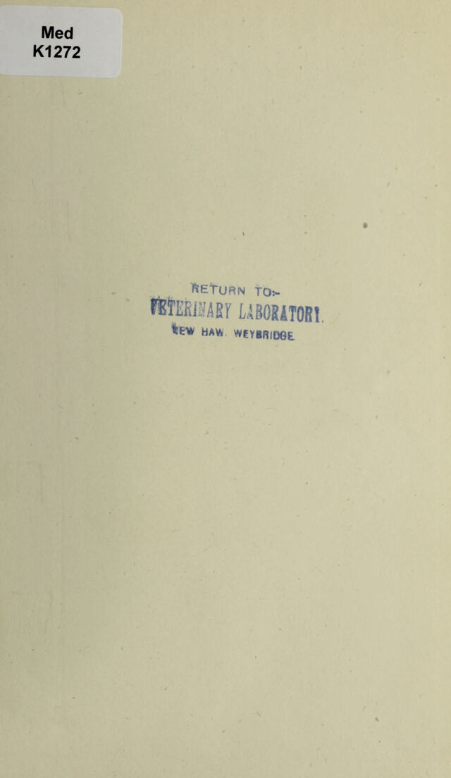 digitised image 3