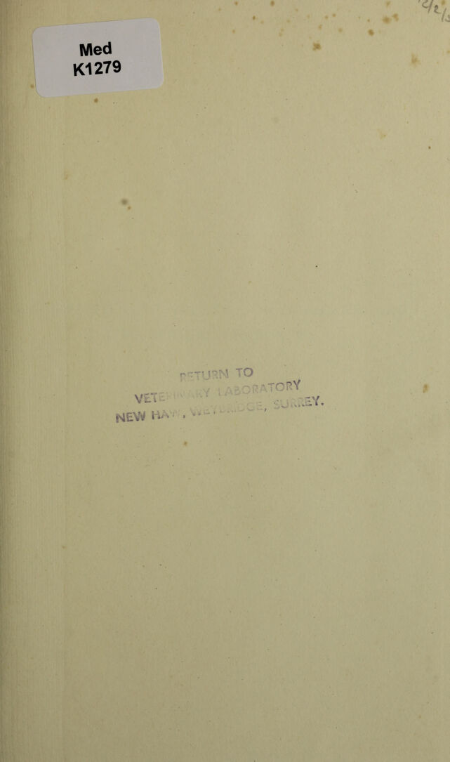 digitised image 3