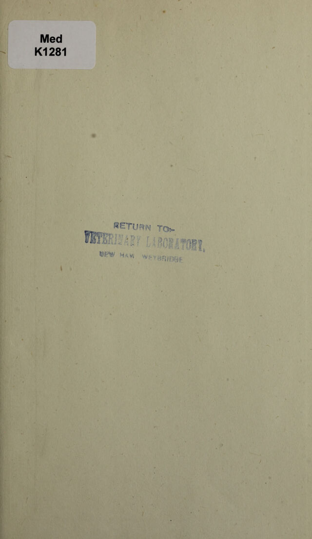 digitised image 3