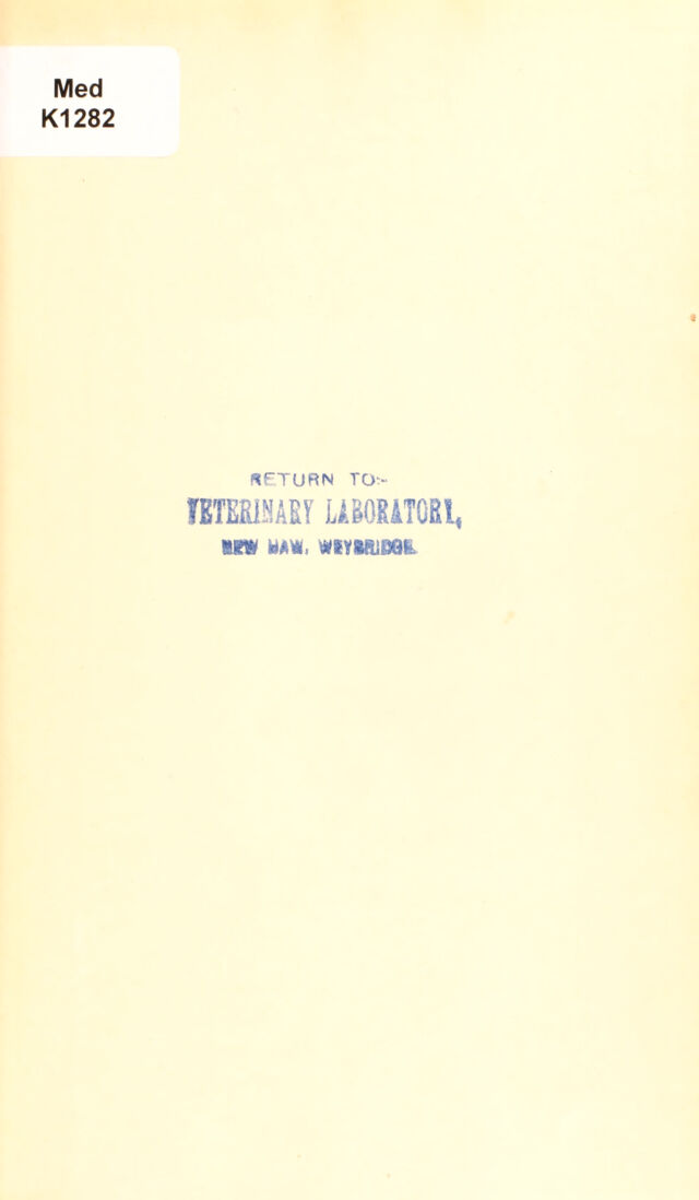digitised image 3