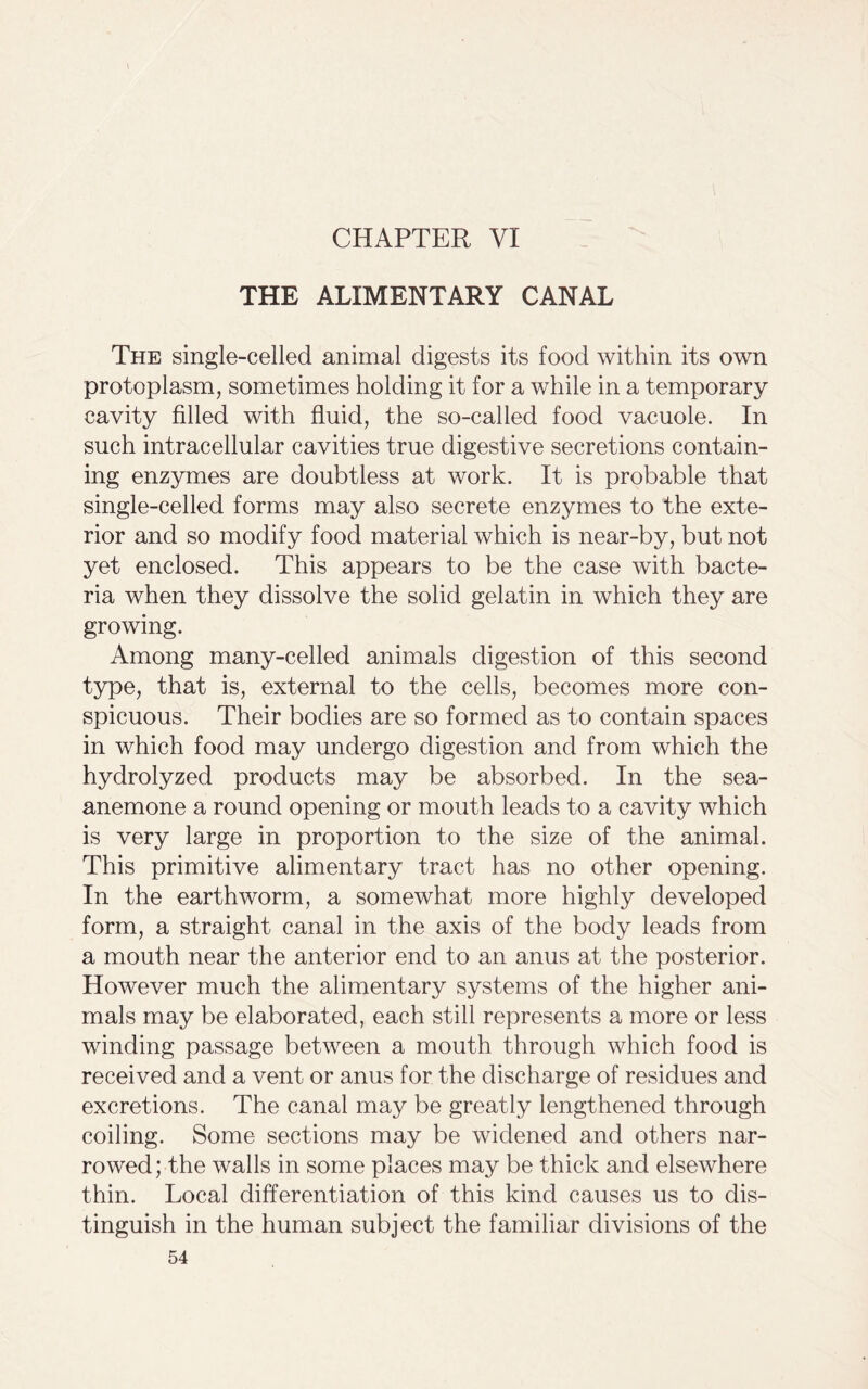 CHAPTER VI THE ALIMENTARY CANAL The single-celled animal digests its food within its own protoplasm, sometimes holding it for a while in a temporary cavity filled with fluid, the so-called food vacuole. In such intracellular cavities true digestive secretions contain- ing enzymes are doubtless at work. It is probable that single-celled forms may also secrete enzymes to the exte- rior and so modify food material which is near-by, but not yet enclosed. This appears to be the case with bacte- ria when they dissolve the solid gelatin in which they are growing. Among many-celled animals digestion of this second type, that is, external to the cells, becomes more con- spicuous. Their bodies are so formed as to contain spaces in which food may undergo digestion and from which the hydrolyzed products may be absorbed. In the sea- anemone a round opening or mouth leads to a cavity which is very large in proportion to the size of the animal. This primitive alimentary tract has no other opening. In the earthworm, a somewhat more highly developed form, a straight canal in the axis of the body leads from a mouth near the anterior end to an anus at the posterior. However much the alimentary systems of the higher ani- mals may be elaborated, each still represents a more or less winding passage between a mouth through which food is received and a vent or anus for the discharge of residues and excretions. The canal may be greatly lengthened through coiling. Some sections may be widened and others nar- rowed; the walls in some places may be thick and elsewhere thin. Local differentiation of this kind causes us to dis- tinguish in the human subject the familiar divisions of the
