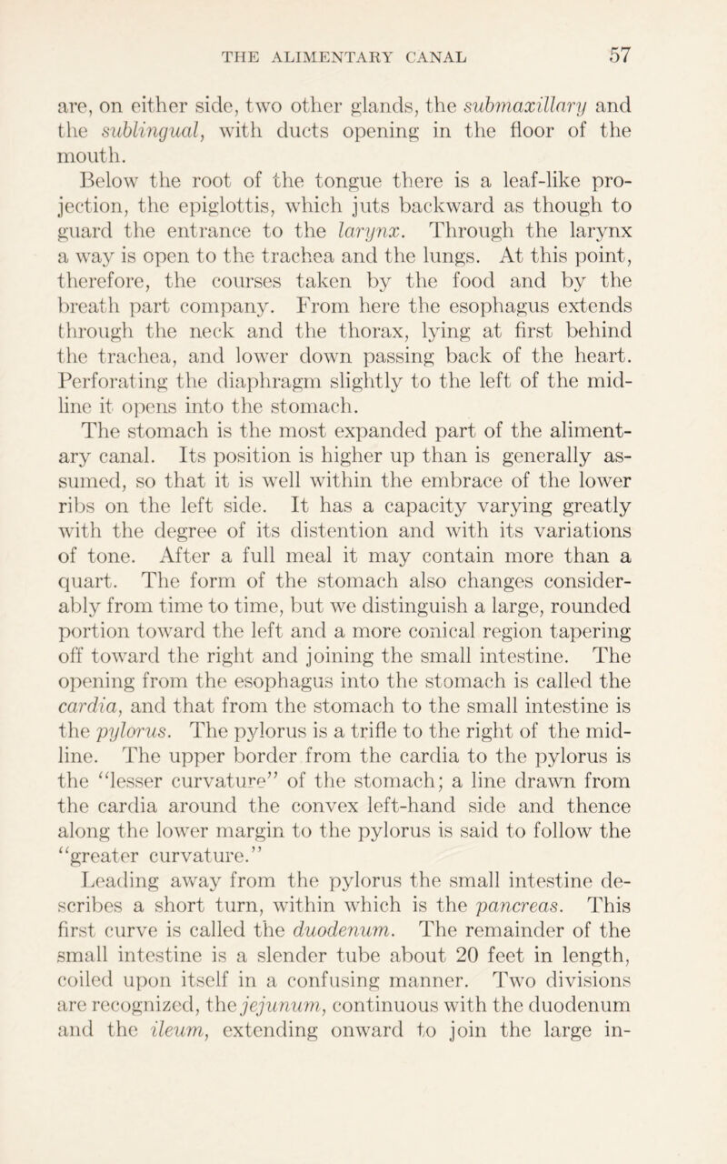 are, on either side, two other glands, the submaxillary and the sublingual, with ducts opening in the floor of the mouth. Below the root of the tongue there is a leaf-like pro- jection, the epiglottis, which juts backward as though to guard the entrance to the larynx. Through the larynx a way is open to the trachea and the lungs. At this point, therefore, the courses taken by the food and by the breath part company. From here the esophagus extends through the neck and the thorax, lying at first behind the trachea, and lower down passing back of the heart. Perforating the diaphragm slightly to the left of the mid- line it opens into the stomach. The stomach is the most expanded part of the aliment- ary canal. Its position is higher up than is generally as- sumed, so that it is well within the embrace of the lower ribs on the left side. It has a capacity varying greatly with the degree of its distention and with its variations of tone. After a full meal it may contain more than a quart. The form of the stomach also changes consider- ably from time to time, but we distinguish a large, rounded portion toward the left and a more conical region tapering off toward the right and joining the small intestine. The opening from the esophagus into the stomach is called the cardia, and that from the stomach to the small intestine is the pylorus. The pylorus is a trifle to the right of the mid- line. The upper border from the cardia to the pylorus is the “lesser curvature” of the stomach; a line drawn from the cardia around the convex left-hand side and thence along the lower margin to the pylorus is said to follow the “greater curvature.” Leading away from the pylorus the small intestine de- scribes a short turn, within which is the pancreas. This first curve is called the duodenum. The remainder of the small intestine is a slender tube about 20 feet in length, coiled upon itself in a confusing manner. Two divisions are recognized, the jejunum, continuous with the duodenum and the ileum, extending onward to join the large in-