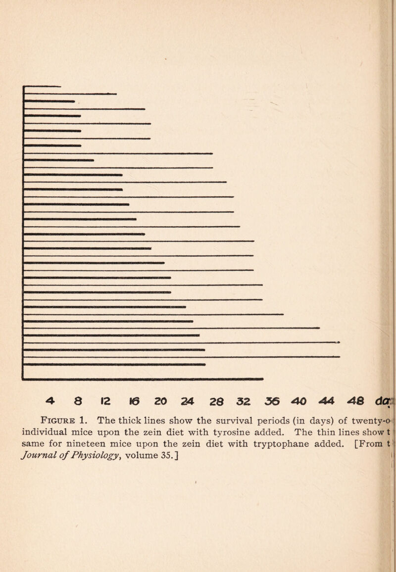 Figure 1. The thick lines show the survival periods (in days) of twenty-o individual mice upon the zein diet with tyrosine added. The thin lines show t same for nineteen mice upon the zein diet with tryptophane added. [From t Journal of Physiology, volume 35.]