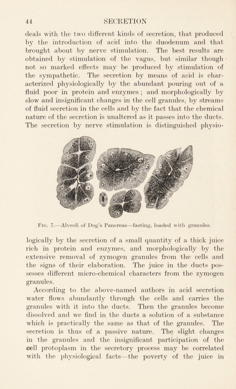 deals with the two different kinds of secretion, that produced by the introduction of acid into the duodenum and that brought about by nerve stimulation. The best results are obtained by stimulation of the vagus, but similar though not so marked effects may be produced by stimulation of the sympathetic. The secretion by means of acid is char- acterized physiologically by the abundant pouring out of a fluid poor in protein and enzymes ; and morphologically by slow and insignificant changes in the cell granules, by streams of fluid secretion in the cells and by the fact that the chemical nature of the secretion is unaltered as it passes into the ducts. The secretion by nerve stimulation is distinguished physio - Fig. 7.—Alveoli of Dog’s Pancreas—fasting, loaded with granules. logically by the secretion of a small quantity of a thick juice rich in protein and enzymes, and morphologically by the extensive removal of zymogen granules from the cells and the signs of their elaboration. The juice in the ducts pos- sesses different micro-chemical characters from the zymogen granules. According to the above-named authors in acid secretion water flows abundantly through the cells and carries the granules with it into the ducts. Then the granules become dissolved and we find in the ducts a solution of a substance which is practically the same as that of the granules. The secretion is thus of a passive nature. The slight changes in the granules and the insignificant participation of the cell protoplasm in the secretory process may be correlated with the physiological facts—the poverty of the juice in