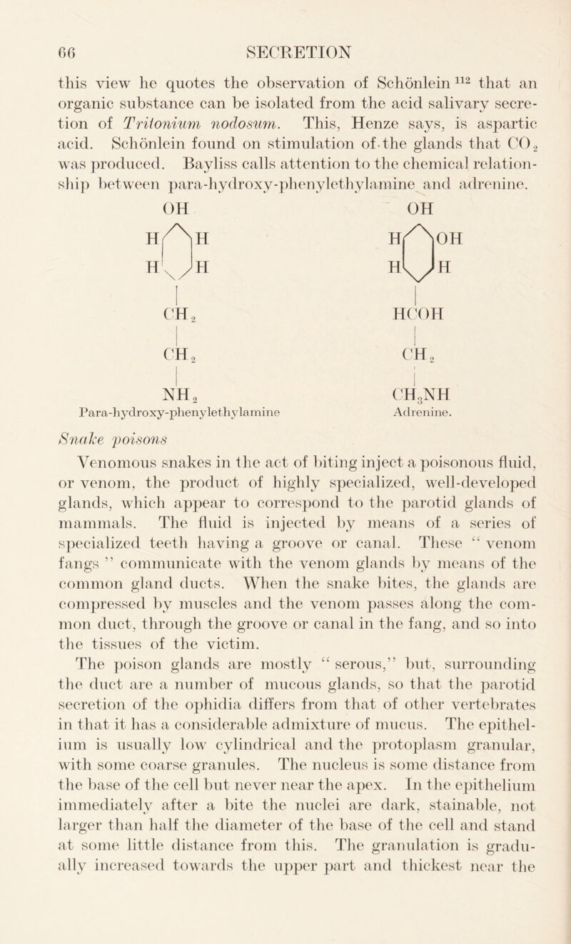 this view he quotes the observation of Schonlein 112 that an organic substance can be isolated from the acid salivary secre- tion of Triionium noclosum. This, Henze says, is aspartic acid. Schonlein found on stimulation of< the glands that C02 was produced. Bayliss calls attention to the chemical relation- ship between para-hydroxy-phenylethylamine and adrenine. OH OH HU OH H CH2 HCOH NH2 Para-hydroxy-plienylethylamine ch2 I CHoNH o Adrenine. Snake poisons Venomous snakes in the act of biting inject a poisonous fluid, or venom, the product of highly specialized, well-developed glands, which appear to correspond to the parotid glands of mammals. The fluid is injected by means of a series of specialized teeth having a groove or canal. These 44 venom fangs ” communicate with the venom glands by means of the common gland ducts. When the snake bites, the glands are compressed by muscles and the venom passes along the com- mon duct, through the groove or canal in the fang, and so into the tissues of the victim. The poison glands are mostly 44 serous,” but, surrounding the duct are a number of mucous glands, so that the parotid secretion of the ophidia differs from that of other vertebrates in that it has a considerable admixture of mucus. The epithel- ium is usually low cylindrical and the protoplasm granular, with some coarse granules. The nucleus is some distance from the base of the cell but never near the apex. In the epithelium immediately after a bite the nuclei are dark, stainable, not larger than half the diameter of the base of the cell and stand at some little distance from this. The granulation is gradu- ally increased towards the upper part and thickest near the