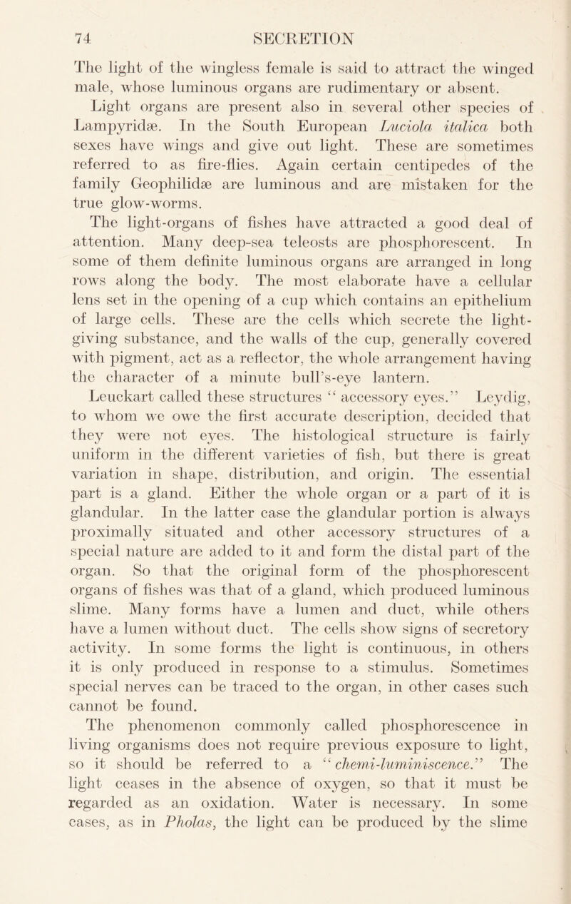 The light of the wingless female is said to attract the winged male, whose luminous organs are rudimentary or absent. Light organs are present also in several other species of Lampyridse. In the South European Luciola italica both sexes have wings and give out light. These are sometimes referred to as fire-flies. Again certain centipedes of the family Geophilidse are luminous and are mistaken for the true glow-worms. The light-organs of fishes have attracted a good deal of attention. Many deep-sea teleosts are phosphorescent. In some of them definite luminous organs are arranged in long rows along the body. The most elaborate have a cellular lens set in the opening of a cup which contains an epithelium of large cells. These are the cells which secrete the light- giving substance, and the walls of the cup, generally covered with pigment, act as a reflector, the whole arrangement having the character of a minute bull’s-eye lantern. Leuckart called these structures “ accessory eyes.” Leydig, to whom we owe the first accurate description, decided that they were not eyes. The histological structure is fairly uniform in the different varieties of fish, but there is great variation in shape, distribution, and origin. The essential part is a gland. Either the whole organ or a part of it is glandular. In the latter case the glandular portion is always proximally situated and other accessory structures of a special nature are added to it and form the distal jJcirt of the organ. So that the original form of the phosphorescent organs of fishes was that of a gland, which produced luminous slime. Many forms have a lumen and duct, while others have a lumen without duct. The cells show signs of secretory activity. In some forms the light is continuous, in others it is only produced in response to a stimulus. Sometimes special nerves can be traced to the organ, in other cases such cannot be found. The phenomenon commonly called phosphorescence in living organisms does not require previous exposure to light, so it should be referred to a “ chemi-luminiscence.” The light ceases in the absence of oxygen, so that it must be regarded as an oxidation. Water is necessary. In some cases, as in Pholas, the light can be produced by the slime