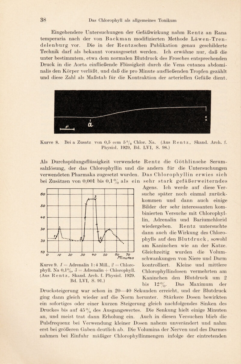 Eingehendere Untersuchungen der Gefäßwirkung nahm Rentz an Rana temperaria nach der von Backman modifizierten Methode Läwen-Tren- delenburg vor. Die in der Rentz sehen Publikation genau geschilderte Technik darf als bekannt vorausgesetzt werden. Ich erwähne nur, daß die unter bestimmtem, etwa dem normalen Blutdruck des Frosches entsprechenden Druck in die Aorta einfließende Flüssigkeit durch die Vena cutanea abdomi- nalis den Körper verläßt, und daß die pro Minute ausfließenden Tropfen gezählt und diese Zahl als Maßstab für die Kontraktion der arteriellen Gefäße dient. Kurve 8. Bei a Zusatz von 0,5 ccm 5 °/0 Chlor. Na. (Aus Rentz, Skand. Arch. f. Physiol. 1929, Bd. LVI, S. 98.) Als Durchspülungsflüssigkeit verwendete Rentz die Göthlinsche Serum- salzlösung, der das Chlorophyllin und die andern für die Untersuchungen verwendeten Pharmaka zugesetzt wurden. Das Chlorophyllin erwies sich bei Zusätzen von 0,001 bis 0,1% als ein sehr stark gefäßerweiterndes Agens. Ich werde auf diese Ver- suche später noch einmal zurück- kommen und dann auch einige Bilder der sehr interessanten kom- binierten Versuche mit Chlorophyl- lin, Adrenalin und Bariumchlorid wiedergeben. Rentz untersuchte dann auch die Wirkung des Chloro- phylls auf den Blutdruck, sowohl am Kaninchen wie an der Katze. Gleichzeitig wurden die Volum- schwankungen von Niere und Darm kontrolliert. Kleine und mittlere Chlorophyllindosen vermehrten am Kaninchen den Blutdruck um 2 bis 12%. Das Maximum der Drucksteigerung war schon in 20—40 Sekunden erreicht, und der Blutdruck ging dann gleich wieder auf die Norm herunter. Stärkere Dosen bewirkten ein sofortiges oder einer kurzen Steigerung gleich nachfolgendes Sinken des Druckes bis auf 45% des Ausgangswertes. Die Senkung hielt einige Minuten an, und meist trat dann Erholung ein. Auch in diesen Versuchen blieb die Pulsfrequenz bei Verwendung kleiner Dosen nahezu unverändert und nahm erst bei größeren Gaben deutlich ab. Die Volumina der Nerven und des Darmes nahmen bei Einfuhr mäßiger Chlorophyllinmengen infolge der eintretenden Minuten Kurve 9. 1 — Adrenalin 1:4 Mill., 2 = Chloro- phyll. Na 0,1%, 3 = Adrenalin -f- Chlorophyll. (Aus Rentz, Skand. Arch. f. Physiol. 1929. Bd. LVI, S. 91.)