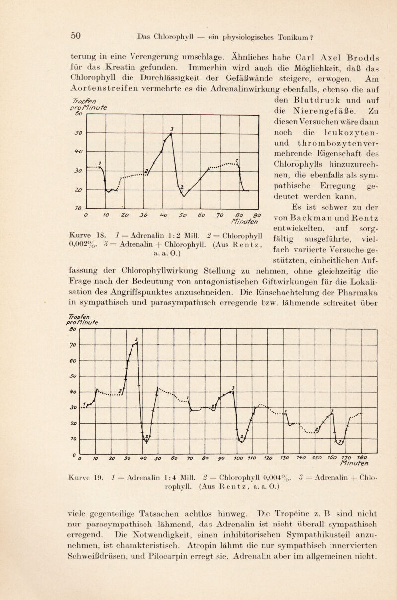 terung in eine Verengerung umschlage. Ähnliches habe Carl Axel Brodds für das Kreatin gefunden. Immerhin wird auch die Möglichkeit, daß das Chlorophyll die Durchlässigkeit der Gefäßwände steigere, erwogen. Am Aortenstreifen vermehrte es die Adrenalinwirkung ebenfalls, ebenso die auf den Blutdruck und auf die Nierengefäße. Zu diesen Versuchen wäre dann noch die leukozyten- und thrombozytenver- mehrende Eigenschaft des Chlorophylls hinzuzurech- nen, die ebenfalls als sym- pathische Erregung ge- deutet werden kann. Es ist schwer zu der von Backman und Rentz entwickelten, auf sorg- fältig ausgeführte, viel- fach variierte Versuche ge- stützten, einheitlichen Auf- fassung der Chlorophyllwirkung Stellung zu nehmen, ohne gleichzeitig die Frage nach der Bedeutung von antagonistischen Giftwirkungen für die Lokali- sation des Angriffspunktes anzuschneiden. Die Einschachtelung der Pharmaka in sympathisch und parasympathisch erregende bzw. lähmende schreitet über Tropfen pro flinute ßo 70 60 SO ko 30 20 70 O TO 20 30 OO 30 Go 70 60 pO IOO 710 720 730 7*0 ISO ISO 7 JO ISO Minuten Kurve 19. 1 = Adrenalin 1:4 Mill. 2 — Chlorophyll 0,004%. 3 = Adrenalin -f- Chlo- rophyll. (Aus Rentz, a. a. O.) viele gegenteilige Tatsachen achtlos hinweg. Die Tropeine z. B. sind nicht nur parasympathisch lähmend, das Adrenalin ist nicht überall sympathisch erregend. Die Notwendigkeit, einen inhibitorischen Sympathikusteil anzu- nehmen, ist charakteristisch. Atropin lähmt die nur sympathisch innervierten Schweißdrüsen, und Pilocarpin erregt sie, Adrenalin aber im allgemeinen nicht. Tropfen o to Zo 30 oo So 6o 70 8o 30 TT/nuten Kurve 18. 1 = Adrenalin 1:2 Mill. 2 = Chlorophyll 0,002%. 3 — Adrenalin -f- Chlorophyll. (Aus Rentz, a. a. O.)