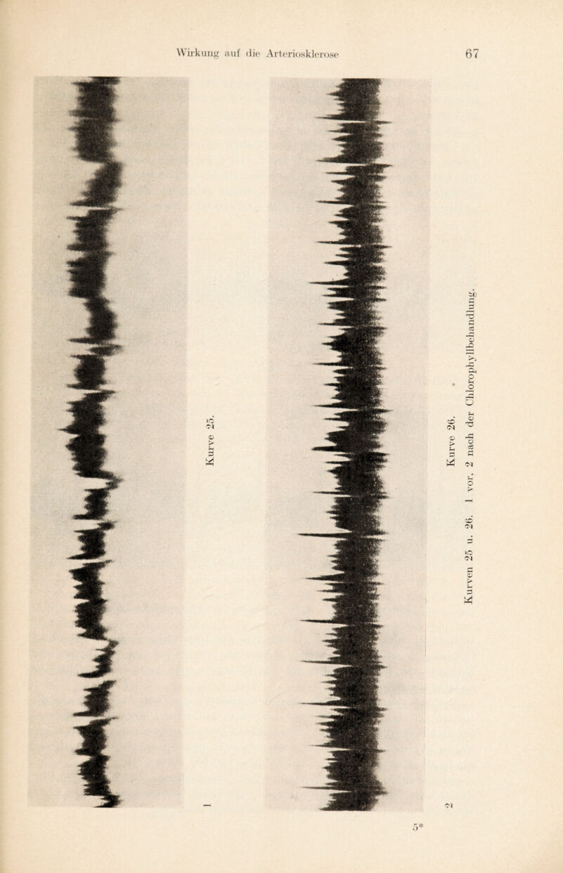 Kurve 26. Kurven 25 u. 26. 1 vor, 2 nach der Chlorophyllbehandlung.