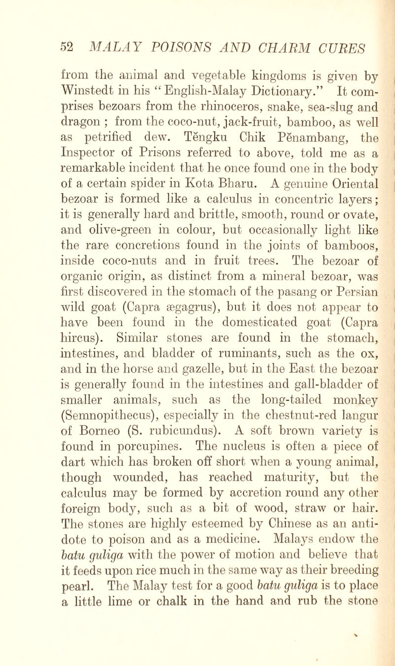 from the animal and vegetable kingdoms is given by Winstedt in his “ English-Malay Dictionary.” It com- prises bezoars from the rhinoceros, snake, sea-slug and dragon ; from the coco-nut, jack-fruit, bamboo, as well as petrified dew. Tengku Chik Penambang, the Inspector of Prisons referred to above, told me as a remarkable incident that he once found one in the body of a certain spider in Kota Bharu. A genuine Oriental bezoar is formed like a calculus in concentric layers; it is generally hard and brittle, smooth, round or ovate, and olive-green in colour, but occasionally light like the rare concretions found in the joints of bamboos, inside coco-nuts and in fruit trees. The bezoar of organic origin, as distinct from a mineral bezoar, was first discovered in the stomach of the pasang or Persian wild goat (Capra aegagrus), but it does not appear to have been found in the domesticated goat (Capra hircus). Similar stones are found in the stomach, intestines, and bladder of ruminants, such as the ox, and in the horse and gazelle, but in the East the bezoar is generally found in the intestines and gall-bladder of smaller animals, such as the long-tailed monkey (Semnopithecus), especially in the chestnut-red langur of Borneo (S. rubicundus). A soft brown variety is found in porcupines. The nucleus is often a piece of dart which has broken off short when a young animal, though wounded, has reached maturity, but the calculus may be formed by accretion round any other foreign body, such as a bit of wood, straw or hair. The stones are highly esteemed by Chinese as an anti- dote to poison and as a medicine. Malays endow the batu guliga with the power of motion and believe that it feeds upon rice much in the same way as their breeding pearl. The Malay test for a good batu guliga is to place a little lime or chalk in the hand and rub the stone