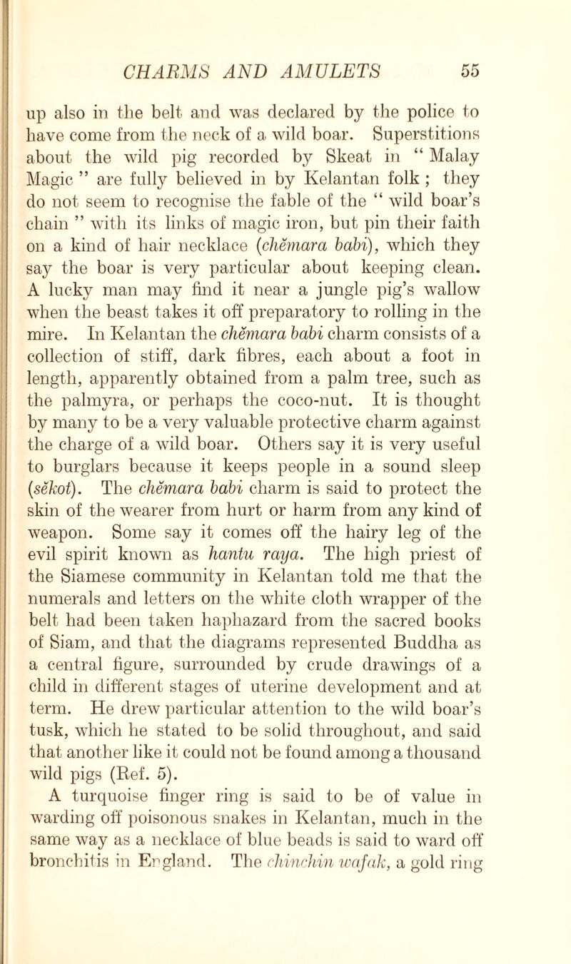 up also in the belt and was declared by the police to have come from the neck of a wild boar. Superstitions about the wild pig recorded by Skeat in “ Malay Magic ” are fully believed in by Kelantan folk ; they do not seem to recognise the fable of the “ wild boar’s chain ” with its links of magic iron, but pin their faith on a kind of hair necklace (chemara babi), which they say the boar is very particular about keeping clean. A lucky man may find it near a jungle pig’s wallow when the beast takes it off’ preparatory to rolling in the mire. In Kelantan the chemara babi charm consists of a collection of stiff, dark fibres, each about a foot in length, apparently obtained from a palm tree, such as the palmyra, or perhaps the coco-nut. It is thought by many to be a very valuable protective charm against the charge of a wild boar. Others say it is very useful to burglars because it keeps people in a sound sleep (,sekot). The chemara babi charm is said to protect the skin of the wearer from hurt or harm from any kind of weapon. Some say it comes off the hairy leg of the evil spirit known as hantu raya. The high priest of the Siamese community in Kelantan told me that the numerals and letters on the white cloth wrapper of the belt had been taken haphazard from the sacred books of Siam, and that the diagrams represented Buddha as a central figure, surrounded by crude drawings of a child in different stages of uterine development and at term. He drew particular attention to the wild boar’s tusk, which he stated to be solid throughout, and said that another like it could not be found among a thousand wild pigs (Ref. 5). A turquoise finger ring is said to be of value in warding off poisonous snakes in Kelantan, much in the same way as a necklace of blue beads is said to ward off bronchitis in England. The chinchin wafak, a gold ring
