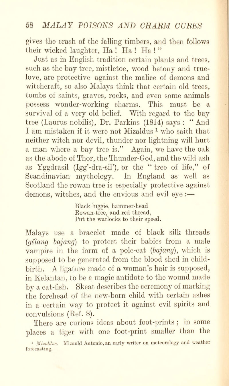 gives the crash of the falling timbers, and then follows their wicked laughter, Ha ! Ha ! Ha ! ” Just as in English tradition certain plants and trees, such as the bay tree, mistletoe, wood betony and true- love, are protective against the malice of demons and witchcraft, so also Malays think that certain old trees, tombs of saints, graves, rocks, and even some animals possess wonder-working charms. This must be a survival of a very old belief. With regard to the bay tree (Lauras nobilis), Dr. Parkins (1814) says : “ And I am mistaken if it were not Mizaldus 1 who saith that neither witch nor devil, thunder nor lightning will hurt a man where a bay tree is.” Again, we have the oak as the abode of Thor, the Thunder-God, and the wild ash as Yggdrasil (Igg’-dra-sih), or the “ tree of life,” of Scandinavian mythology. In England as well as Scotland the rowan tree is especially protective against demons, witches, and the envious and evil eye :— Black luggie, hammer-head Rowan-tree, and red thread, Put the warlocks to their speed. Malays use a bracelet made of black silk threads (gelang bajang) to protect their babies from a male vampire in the form of a pole-cat (bajang), which is supposed to be generated from the blood shed in child- birth. A ligature made of a woman’s hair is supposed, in Kelantan, to be a magic antidote to the wound made by a cat-fish. Skeat describes the ceremony of marking the forehead of the new-born child with certain ashes in a certain way to protect it against evil spirits and convulsions (Ref. 8). There are curious ideas about foot-prints ; in some places a tiger with one foot-print smaller than the 1 Mizaldus. Mizauld Antonio, an early writer on meteorology and weather forecasting.