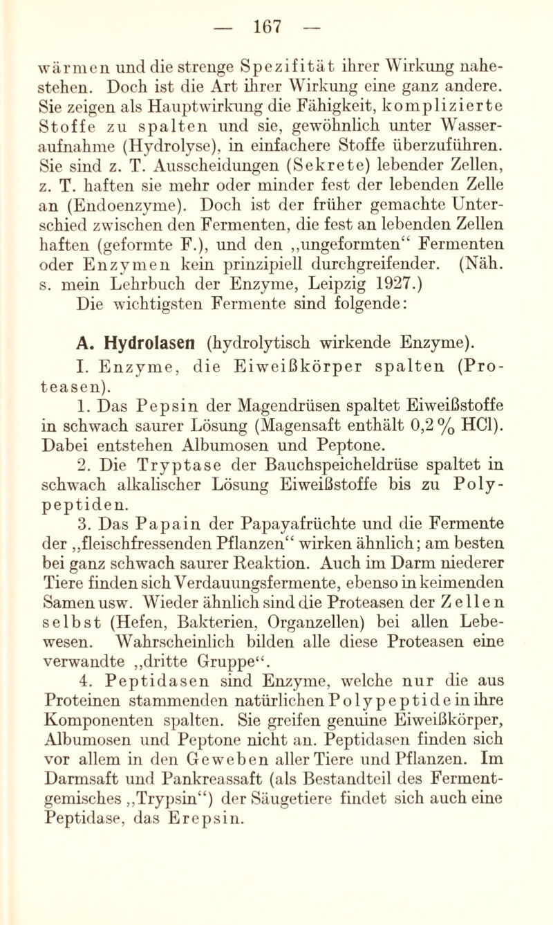 wärmen und die strenge Spezifität ihrer Wirkung nahe- stehen. Doch ist die Art iJirer Wirkung eine ganz andere. Sie zeigen als Hauptwirlaing die Fähigkeit, komplizierte Stoffe zu spalten und sie, gewöhnlich unter Wasser- aufnahme (Hydrolyse), in einfachere Stoffe überzuführen. Sie sind z. T. Ausscheidungen (Sekrete) lebender Zellen, z. T. haften sie mehr oder minder fest der lebenden Zelle an (Endoenzyme). Doch ist der früher gemachte Unter- schied zwischen den Fermenten, die fest an lebenden Zellen haften (geformte F.), und den ,,ungeformten“ Fermenten oder Enzymen kein prinzipiell durchgreifender. (Näh. s. mein Lehrbuch der Enzyme, Leipzig 1927.) Die wichtigsten Fermente sind folgende: A. Hydrolasen (hydrolytisch wirkende Enzyme). 1. Enzyme, die Eiweißkörper spalten (Pro- teasen). 1. Das Pepsin der Magendrüsen spaltet Eiweißstoffe in schwach saurer Lösung (Magensaft enthält 0,2% HCl). Dabei entstehen Albumosen und Peptone. 2. Die Tryptase der Bauchspeicheldrüse spaltet in schwach alkalischer Lösung Eiweißstoffe bis zu Poly- peptiden. 3. Das Papain der Papayafrüchte und die Fermente der „fleischfressenden Pflanzen“ wirken ähnlich; am besten bei ganz schwach saurer Reaktion. Auch im Darm niederer Tiere finden sich Verdauungsfermente, ebenso in keimenden Samen usw. Wieder ähnlich sind die Proteasen der Zellen selbst (Hefen, Bakterien, Organzellen) bei allen Lebe- wesen. Wahrscheinlich bilden alle diese Proteasen eine verwandte ,,dritte Gruppe“. 4. Peptidasen sind Enzyme, welche nur die aus Proteinen stammenden natürlichen Polypeptide in ihre Komponenten spalten. Sie greifen genuine Eiweißkörper, Albumosen und Peptone nicht an. Peptidasen finden sich vor allem in den Geweben aller Tiere und Pflanzen. Im Darmsaft und Pankreassaft (als Bestandteil des Ferment- gemisches ,,Trypsin“) der Säugetiere findet sich auch eine Peptidase, das Erepsin.