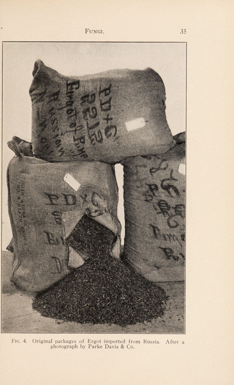 Fig. 4. Original packages of Ergot imported from Russia. After a photograph by Parke Davis & Co.