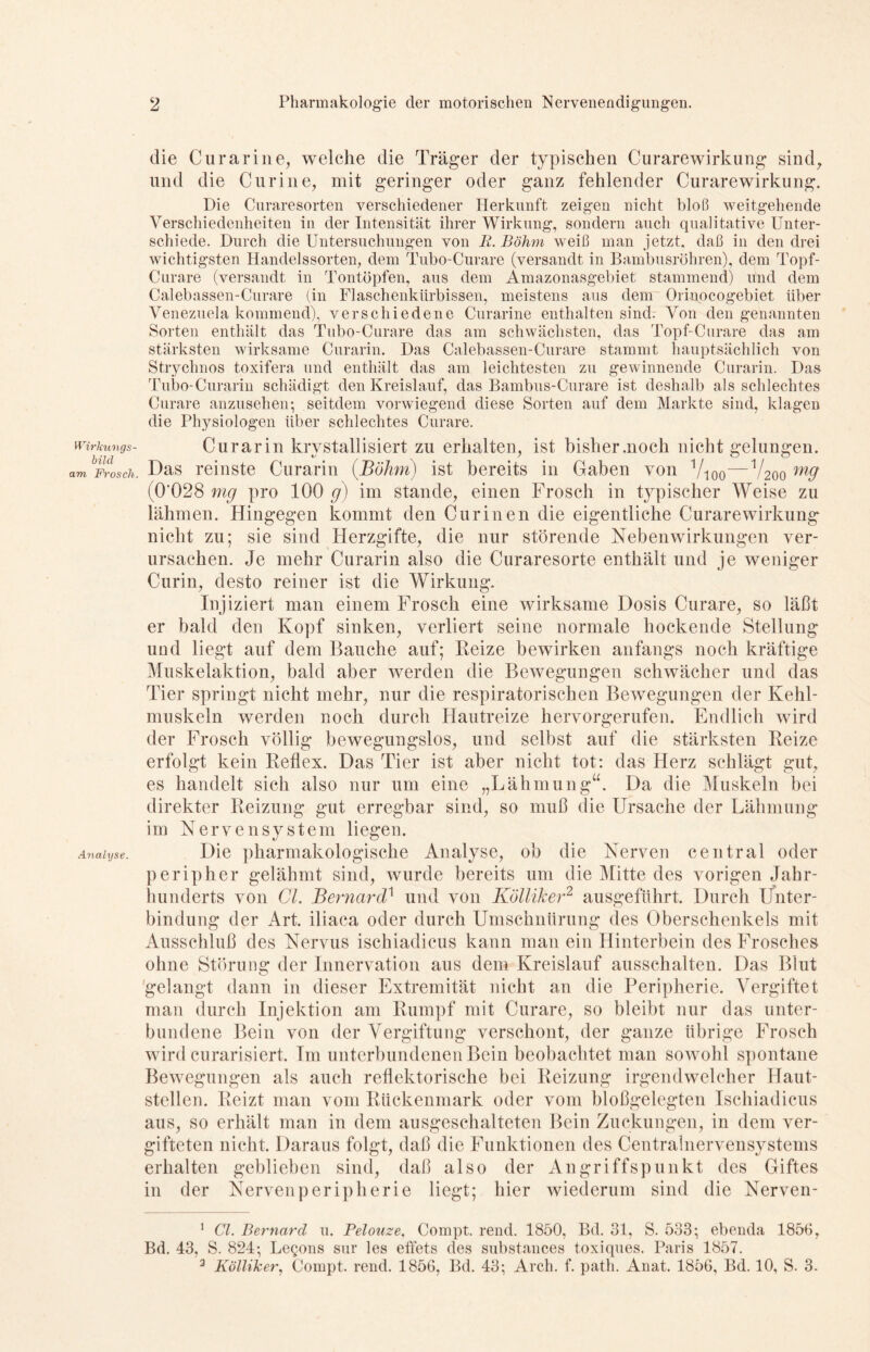 Wirkung s- bilcl am Frosch, Analyse. die Cu rar ine, welche die Träger der typischen Curarewirkung sind, und die Cur ine, mit geringer oder ganz fehlender Curarewirkung. Die Curaresorten verschiedener Herkunft zeigen nicht bloß weitgehende Verschiedenheiten in der Intensität ihrer Wirkung, sondern auch qualitative Unter- schiede. Durch die Untersuchungen von R. Böhm weiß man jetzt, daß in den drei wichtigsten Handelssorten, dem Tubo-Curare (versandt in Bambusrohren), dem Topf- Curare (versandt in Tontöpfen, aus dem Amazonasgebiet stammend) und dem Calebassen-Curare (in Flaschenkürbissen, meistens aus dem Ormocogebiet über Venezuela kommend), verschiedene Curarine enthalten sind. Von den genannten Sorten enthält das Tubo-Curare das am schwächsten, das Topf-Curare das am stärksten wirksame Curarin. Das Calebassen-Curare stammt hauptsächlich von Strychnos toxifera und enthält das am leichtesten zu gewinnende Curarin. Das Tubo-Curarin schädigt den Kreislauf, das Bambus-Curare ist deshalb als schlechtes Curare anzusehen; seitdem vorwiegend diese Sorten auf dem Markte sind, klagen die Physiologen über schlechtes Curare. Curarin krystallisiert zu erkalten, ist bisher .noch nicht gelungen. Das reinste Curarin (Böhm) ist bereits in Gaben von Vioo—V200 m9 (0'028 mg pro 100 g) im Stande, einen Frosch in typischer Weise zu lähmen. Hingegen kommt den Curinen die eigentliche Curarewirkung nicht zu; sie sind Herzgifte, die nur störende Nebenwirkungen ver- ursachen. Je mehr Curarin also die Curaresorte enthält und je weniger Curin, desto reiner ist die Wirkung. Injiziert man einem Frosch eine wirksame Dosis Curare, so läßt er bald den Kopf sinken, verliert seine normale hockende Stellung und liegt auf dem Bauche auf; Beize bewirken anfangs noch kräftige Muskelaktion, bald aber werden die Bewegungen schwächer und das Tier springt nicht mehr, nur die respiratorischen Bewegungen der Kehl- muskeln werden noch durch Hautreize hervorgerufen. Endlich wird der Frosch völlig bewegungslos, und selbst auf die stärksten Beize erfolgt kein Beflex. Das Tier ist aber nicht tot: das Herz schlägt gut, es handelt sich also nur um eine „Lähmung“. Da die Muskeln bei direkter Beizung gut erregbar sind, so muß die Ursache der Lähmung im Nervensystem liegeu. Die pharmakologische Analyse, ob die Nerven central oder peripher gelähmt sind, wurde bereits um die Mitte des vorigen Jahr- hunderts von CI. Bernard} und von Kölliker1 2 3 ausgeführt. Durch Unter- bindung der Art. iliaca oder durch Umschnürung des Oberschenkels mit Ausschluß des Nervus ischiadicus kann man ein Hinterbein des Frosches ohne Störung der Innervation aus dem Kreislauf ausschalten. Das Blut gelangt dann in dieser Extremität nicht an die Peripherie. Vergiftet man durch Injektion am Bumpf mit Curare, so bleibt nur das unter- bundene Bein von der Vergiftung verschont, der ganze übrige Frosch wird curarisiert. Im unterbundenen Bein beobachtet man sowohl spontane Bewegungen als auch reflektorische bei Beizung irgendwelcher Haut- stellen. Beizt man vom Bückenmark oder vom bloßgelegten Ischiadicus aus, so erhält man in dem ausgeschalteten Bein Zuckungen, in dem ver- gifteten nicht. Daraus folgt, daß die Funktionen des Centralnervensystems erhalten geblieben sind, daß also der Angriffspunkt des Giftes in der Nervenperipherie liegt; hier wiederum sind die Nerven- 1 Cl. Bernard u. Pelouze, Compt. rend. 1850, Bd. 31, S. 533; ebenda 1856, Bd. 43, S. 824; Legons sur les effets des substances toxiques. Paris 1857. 3 Kölliker, Compt. rend. 1856, Bd. 43; Arch. f. path. Anat. 1856, Bd. 10, S. 3.