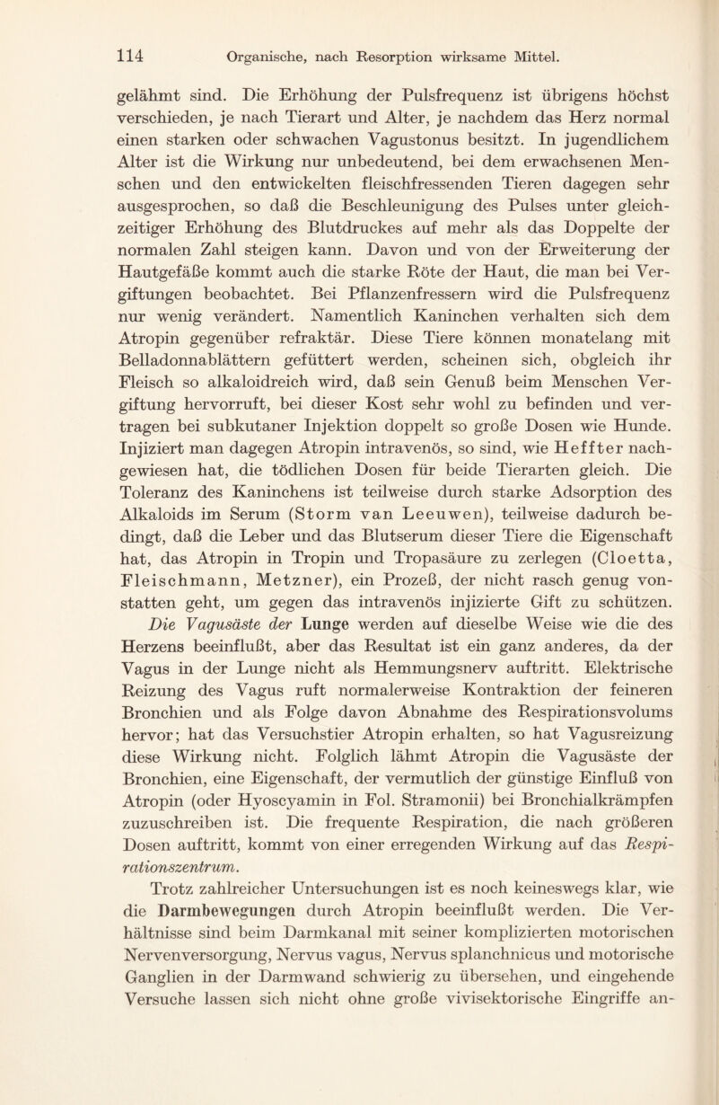 gelähmt sind. Die Erhöhung der Pulsfrequenz ist übrigens höchst verschieden, je nach Tierart und Alter, je nachdem das Herz normal einen starken oder schwachen Vagustonus besitzt. In jugendlichem Alter ist die Wirkung nur unbedeutend, bei dem erwachsenen Men- schen und den entwickelten fleischfressenden Tieren dagegen sehr ausgesprochen, so daß die Beschleunigung des Pulses unter gleich- zeitiger Erhöhung des Blutdruckes auf mehr als das Doppelte der normalen Zahl steigen kann. Davon und von der Erweiterung der Hautgefäße kommt auch die starke Röte der Haut, die man bei Ver- giftungen beobachtet. Bei Pflanzenfressern wird die Pulsfrequenz nur wenig verändert. Namentlich Kaninchen verhalten sich dem Atropin gegenüber refraktär. Diese Tiere können monatelang mit Belladonnablättern gefüttert werden, scheinen sich, obgleich ihr Fleisch so alkaloidreich wird, daß sein Genuß beim Menschen Ver- giftung hervorruft, bei dieser Kost sehr wohl zu befinden und ver- tragen bei subkutaner Injektion doppelt so große Dosen wie Hunde. Injiziert man dagegen Atropin intravenös, so sind, wie Heffter nach- gewiesen hat, die tödlichen Dosen für beide Tierarten gleich. Die Toleranz des Kaninchens ist teilweise durch starke Adsorption des Alkaloids im Serum (Storm van Leeuwen), teilweise dadurch be- dingt, daß die Leber und das Blutserum dieser Tiere die Eigenschaft hat, das Atropin in Tropin und Tropasäure zu zerlegen (Cloetta, Fleischmann, Metzner), ein Prozeß, der nicht rasch genug von- statten geht, um gegen das intravenös injizierte Gift zu schützen. Die Vagusäste der Lunge werden auf dieselbe Weise wie die des Herzens beeinflußt, aber das Resultat ist ein ganz anderes, da der Vagus in der Lunge nicht als Hemmungsnerv auf tritt. Elektrische Reizung des Vagus ruft normalerweise Kontraktion der feineren Bronchien und als Folge davon Abnahme des Respirationsvolums hervor; hat das Versuchstier Atropin erhalten, so hat Vagusreizung diese Wirkung nicht. Folglich lähmt Atropin die Vagusäste der Bronchien, eine Eigenschaft, der vermutlich der günstige Einfluß von Atropin (oder Hyoscyamin in Fol. Stramonii) bei Bronchialkrämpfen zuzuschreiben ist. Die frequente Respiration, die nach größeren Dosen auftritt, kommt von einer erregenden Wirkung auf das Respi- rationszentrum . Trotz zahlreicher Untersuchungen ist es noch keineswegs klar, wie die Darmbewegungen durch Atropin beeinflußt werden. Die Ver- hältnisse sind beim Darmkanal mit seiner komplizierten motorischen Nervenversorgung, Nervus vagus, Nervus splanchnicus und motorische Ganglien in der Darmwand schwierig zu übersehen, und eingehende Versuche lassen sich nicht ohne große vivisektorische Eingriffe an-