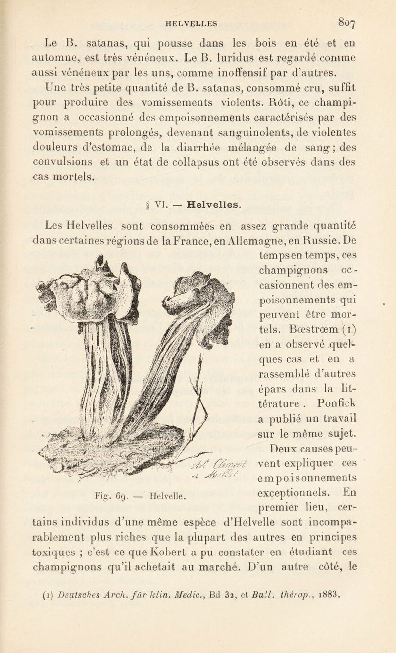 Le B. satanas, qui pousse clans les bois en été et en automne, est très vénéneux. Le B. luridus est regardé comme aussi vénéneux par les uns, comme inoffensif par d’autres. Une très petite quantité de B. satanas, consommé cru, suffit pour produire des vomissements violents. Rôti, ce champi- gnon a occasionné des empoisonnements caractérisés par des vomissements prolongés, devenant sanguinolents, de violentes douleurs d’estomac, de la diarrhée mélangée de sang ; des convulsions et un état de collapsus ont été observés dans des cas mortels. | VI. — Helvelies. Les Helvelies sont consommées en assez grande quantité dans certaines régions de la France, en Allemagne, en Russie. De temps en temps, ces champignons oc- casionnent des em- poisonnements qui peuvent être mor- tels. Bœstrœm(i) en a observé quel- ques cas et en a rassemblé d’autres épars dans la lit- térature . Ponfick a publié un travail sur le même sujet. Deux causes peu- vent expliquer ces empois onnements Fig-. 69. — Helvelle. exceptionnels. En premier lieu, cer- tains individus d’une même espèce d’Helvelle sont incompa- rablement plus riches que la plupart des autres en principes toxiques ; c’est ce que Kobert a pu constater en étudiant ces champignons qu’il achetait au marché. D’un autre côté, le (1) Dealsches Arch. fur klin. Medic., Bd 3a, et Bail, thérapi883.