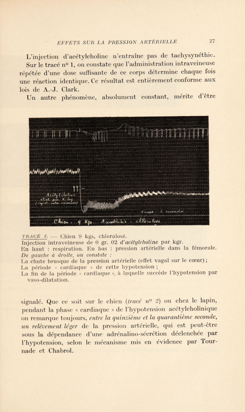 L’injection d’acétylcholine n’entraîne pas de tachysynéthie. Sur le tracé n° 1, on constate que l’administration intraveineuse répétée d’une dose suffisante de ce corps détermine chaque fois une réaction identique. Ce résultat est entièrement conforme aux lois de A.-J. Clark. Un autre phénomène, absolument constant, mérité d’être tracé 2. .— Chien 9 kgs, chloralosé. Injection intraveineuse de 0 gr. 02 d’acétylcholine par kgr. En haut : respiration. En bas : pression artérielle dans la fémorale. De gauche à droite, on constate : La chute brusque de la pression artérielle (effet vagal sur le cœur) ; La période « cardiaque » de cette hypotension ; La fin de la période « cardiaque », à laquelle succède l’hypotension par vaso-dilatation. signalé. Que ce soit sur le chien (tracé n° 2) ou chez le lapin, pendant la phase « cardiaque » de l’hypotension acétylcholinique on remarque toujours, entre la quinzième et la quarantième seconde, un relèvement léger de la pression artérielle, qui est peut-être sous la dépendance d’une adrénalino-sécrétion déclenchée par l’hypotension, selon le mécanisme mis en évidence par Tour- nade et Chabrol.
