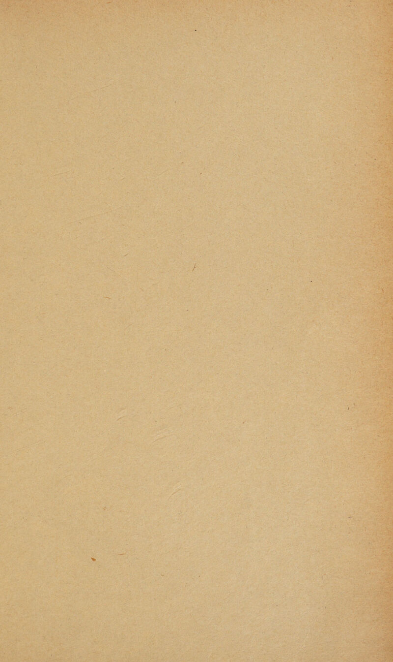 m ■ ■ i . > ‘ -1 K - V ■•7iM