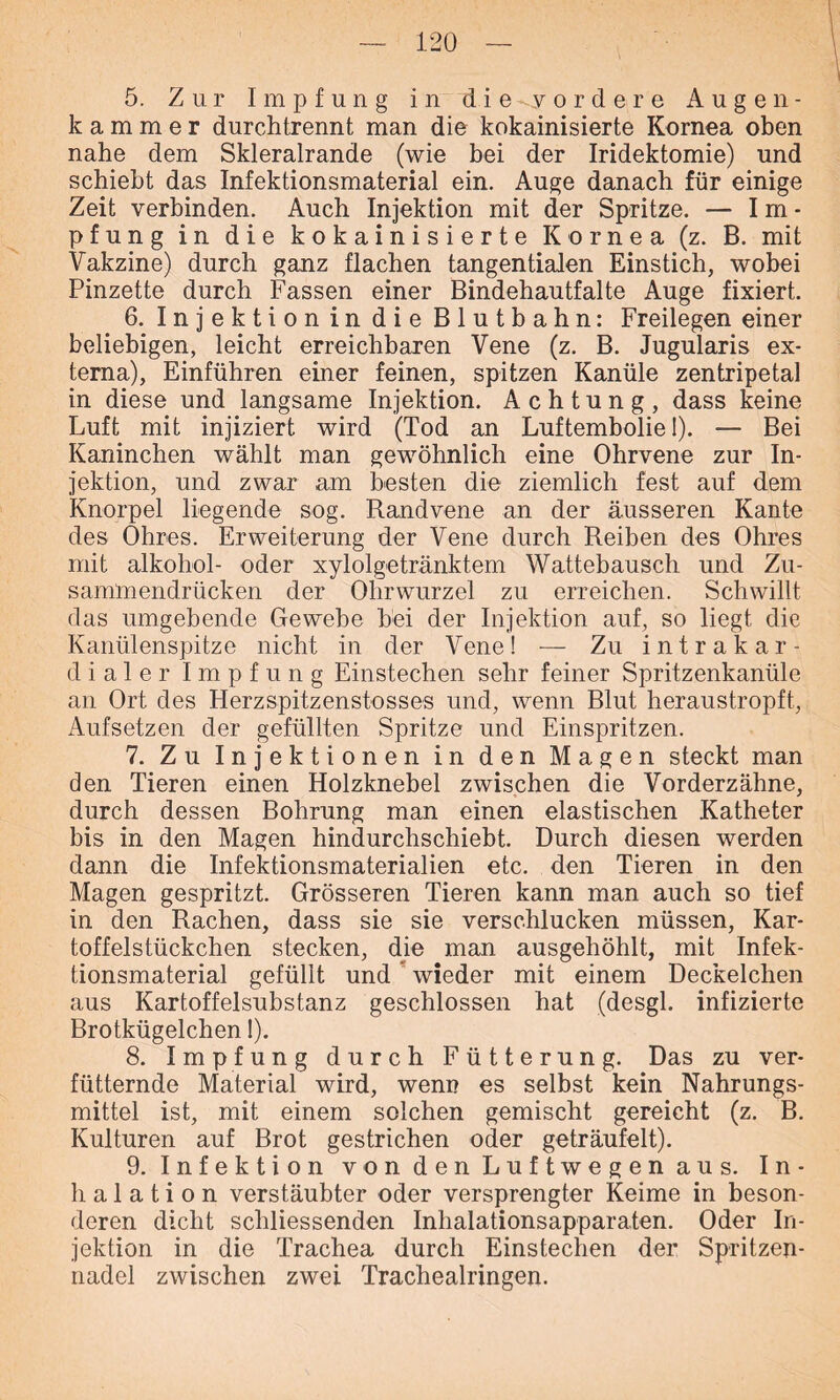 5. Zur Impfung in di e^y ordere Augen- kammer durchtrennt man die kokainisierte Kornea oben nahe dem Skleralrande (wie bei der Iridektomie) und schiebt das Infektionsmaterial ein. Auge danach für einige Zeit verbinden. Auch Injektion mit der Spritze. — Im- pfung in die kokainisierte Kornea (z. B. mit Vakzine) durch ganz flachen tangentialen Einstich, wobei Pinzette durch Fassen einer Bindehautfalte Auge fixiert. 6. Injektion in die Blutbahn: Freilegen einer beliebigen, leicht erreichbaren Vene (z. B. Jugularis ex- terna), Einführen einer feinen, spitzen Kanüle zentripetal in diese und langsame Injektion. Achtung, dass keine Luft mit injiziert wird (Tod an Luftembolie!). — Bei Kaninchen wählt man gewöhnlich eine Ohrvene zur In- jektion, und zwar am besten die ziemlich fest auf dem Knorpel liegende sog. Randvene an der äusseren Kante des Ohres. Erweiterung der Vene durch Reiben des Ohres mit alkohol- oder xylolgetränktem Wattebausch und Zu- sammendrücken der Ohrwurzel zu erreichen. Schwillt das umgebende Gewebe bei der Injektion auf, so liegt die Kanülenspitze nicht in der Vene! — Zu intrakar- dialer Impfung Einstechen sehr feiner Spritzenkanüle an Ort des Herzspitzenstosses und, wenn Blut heraustropft, Aufsetzen der gefüllten Spritze und Einspritzen. 7. Zu Injektionen in den Magen steckt man den Tieren einen Holzknebel zwischen die Vorderzähne, durch dessen Bohrung man einen elastischen Katheter bis in den Magen hindurchschiebt. Durch diesen werden dann die Infektionsmaterialien etc. den Tieren in den Magen gespritzt. Grösseren Tieren kann man auch so tief in den Rachen, dass sie sie verschlucken müssen, Kar- toffelstückchen stecken, die man ausgehöhlt, mit Infek- tionsmaterial gefüllt und wieder mit einem Deckelchen aus Kartoffelsubstanz geschlossen hat (desgl. infizierte Brotkügelchen 1). 8. Impfung durch Fütterung. Das zu ver- fütternde Material wird, wenn es selbst kein Nahrungs- mittel ist, mit einem solchen gemischt gereicht (z. B. Kulturen auf Brot gestrichen oder geträufelt). 9. Infektion von den Luftwegen aus. In- halation verstäubter oder versprengter Keime in beson- deren dicht schliessenden Inhalationsapparaten. Oder In- jektion in die Trachea durch Einstechen der Spritzen- nadel zwischen zwei Trachealringen.