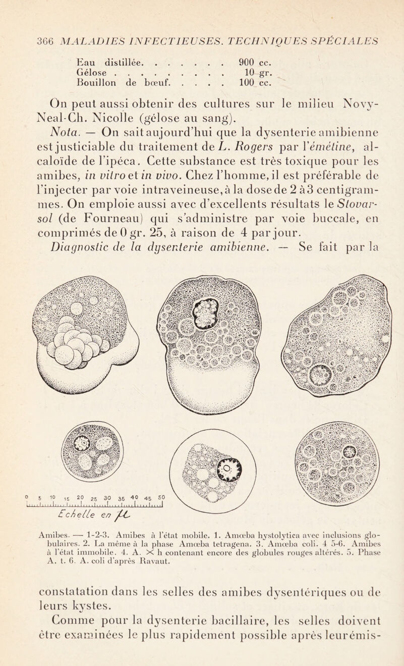 Eau distillée. 900 cc. Gélose. 10 gr. Bouillon de bœuf.100 cc. On peut aussi obtenir des cultures sur le milieu Novy- Neal-Ch. Nicolle (gélose au sang). Nota. — On sait aujourd’hui que la dysenterie amibienne est justiciable du traitement deL. Rogers par Yémétine, al¬ caloïde de l’ipéca. Cette substance est très toxique pour les amibes, in vitro et in vivo. Chez l’homme, il est préférable de l'injecter par voie intraveineuse, à la dose de 2 à 3 centigram¬ mes. On emploie aussi avec d’excellents résultats le Slovar- sol (de Fourneau) qui s’administre par voie buccale, en comprimés de 0 gr. 25, à raison de 4 par jour. Diagnostic de la dysenterie amibienne. — Se fait par la Amibes. — 1-2-3. Amibes à l’état mobile. 1. Amœba hystolytiea avec inclusions glo¬ bulaires. 2. La même à la phase Amœba tetragena. 3. Amœba coli. 4 5-0. Amibes à l’état immobile. 4. A. X h contenant encore des globules rouges altérés. 5. Phase A. t. 6. A. coli d’après Ravaut. constatation dans les selles des amibes dysentériques ou de leurs kvstes. sJ Comme pour la dysenterie bacillaire, les selles doivent être examinées le plus rapidement possible après leurémis-