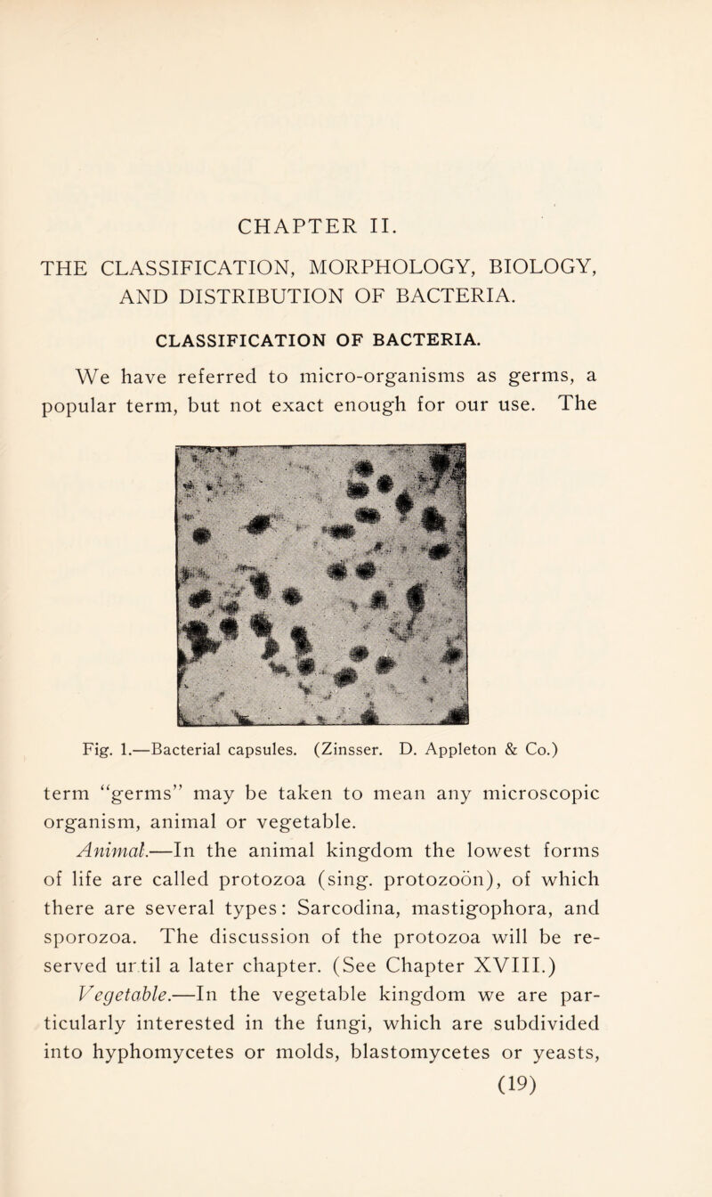 THE CLASSIFICATION, MORPHOLOGY, BIOLOGY, AND DISTRIBUTION OF BACTERIA. CLASSIFICATION OF BACTERIA. We have referred to micro-organisms as germs, a popular term, but not exact enough for our use. The Fig. 1.—Bacterial capsules. (Zinsser. D. Appleton & Co.) term “germs” may be taken to mean any microscopic organism, animal or vegetable. Animal.—In the animal kingdom the lowest forms of life are called protozoa (sing, protozoon), of which there are several types: Sarcodina, mastigophora, and sporozoa. The discussion of the protozoa will be re- served ur.til a later chapter. (See Chapter XVIII.) Vegetable.—In the vegetable kingdom we are par- ticularly interested in the fungi, which are subdivided into hyphomycetes or molds, blastomycetes or yeasts,