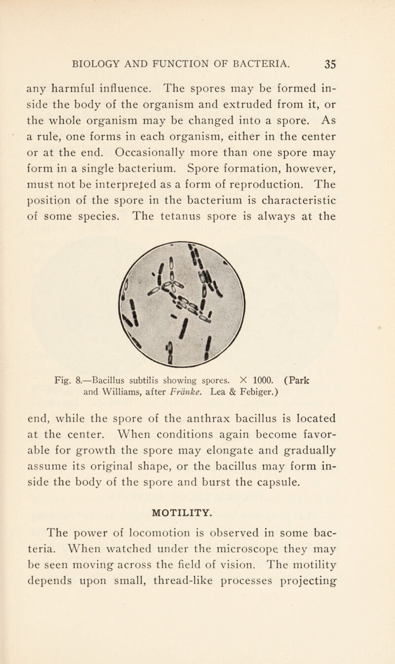 any harmful influence. The spores may be formed in- side the body of the organism and extruded from it, or the whole organism may be changed into a spore. As a rule, one forms in each organism, either in the center or at the end. Occasionally more than one spore may form in a single bacterium. Spore formation, however, must not be interpreted as a form of reproduction. The position of the spore in the bacterium is characteristic of some species. The tetanus spore is always at the Fig. 8.—Bacillus subtilis showing spores. X 1000. (Park and Williams, after Franks. Lea & Febiger.) end, while the spore of the anthrax bacillus is located at the center. When conditions again become favor- able for growth the spore may elongate and gradually assume its original shape, or the bacillus may form in- side the body of the spore and burst the capsule. MOTILITY. The power of locomotion is observed in some bac- teria. When watched under the microscope they may be seen moving across the field of vision. The motility depends upon small, thread-like processes projecting