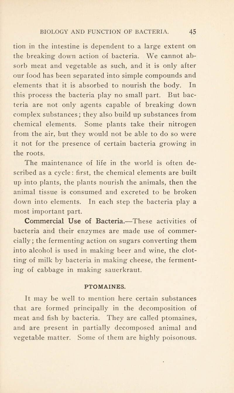 tion in the intestine is dependent to a large extent on the breaking down action of bacteria. We cannot ab- sorb meat and vegetable as such, and it is only after our food has been separated into simple compounds and elements that it is absorbed to nourish the body. In this process the bacteria play no small part. But bac- teria are not only agents capable of breaking down complex substances; they also build up substances from chemical elements. Some plants take their nitrogen from the air, but they would not be able to do so were it not for the presence of certain bacteria growing in the roots. The maintenance of life in the world is often de- scribed as a cycle: first, the chemical elements are built up into plants, the plants nourish the animals, then the animal tissue is consumed and excreted to be broken down into elements. In each step the bacteria play a most important part. Commercial Use of Bacteria.—These activities of bacteria and their enzymes are made use of commer- cially; the fermenting action on sugars converting them into alcohol is used in making beer and wine, the clot- ting of milk by bacteria in making cheese, the ferment- ing of cabbage in making sauerkraut. PTOMAINES. It may be well to mention here certain substances that are formed principally in the decomposition of meat and fish by bacteria. They are called ptomaines, and are present in partially decomposed animal and vegetable matter. Some of them are highly poisonous.