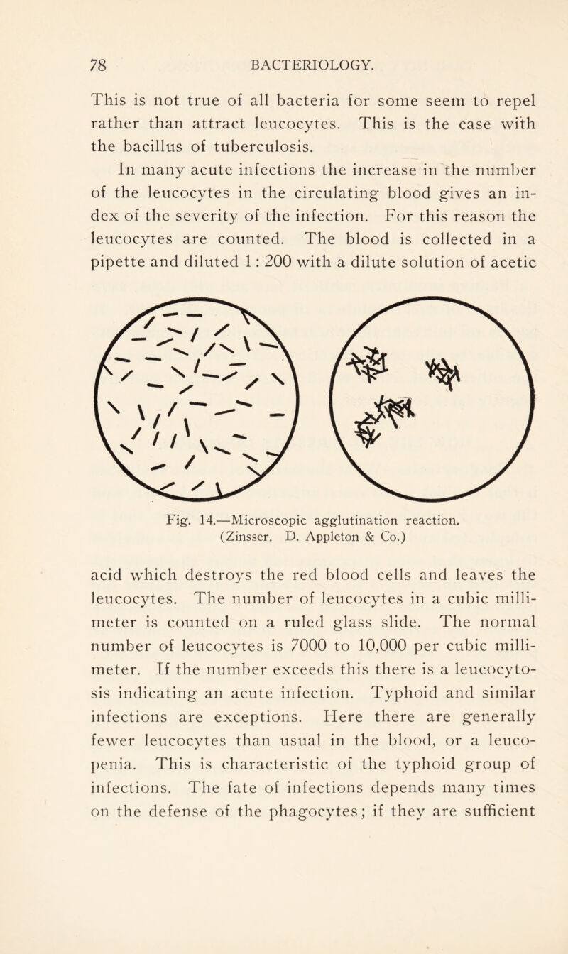 This is not true of all bacteria for some seem to repel rather than attract leucocytes. This is the case with the bacillus of tuberculosis. In many acute infections the increase in the number of the leucocytes in the circulating blood gives an in- dex of the severity of the infection. For this reason the leucocytes are counted. The blood is collected in a pipette and diluted 1: 200 with a dilute solution of acetic Fig. 14.—Microscopic agglutination reaction. (Zinsser. D. Appleton & Co.) acid which destroys the red blood cells and leaves the leucocytes. The number of leucocytes in a cubic milli- meter is counted on a ruled glass slide. The normal number of leucocytes is 7000 to 10,000 per cubic milli- meter. If the number exceeds this there is a leucocyto- sis indicating an acute infection. Typhoid and similar infections are exceptions. Here there are generally fewer leucocytes than usual in the blood, or a leuco- penia. This is characteristic of the typhoid group of infections. The fate of infections depends many times on the defense of the phagocytes; if they are sufficient