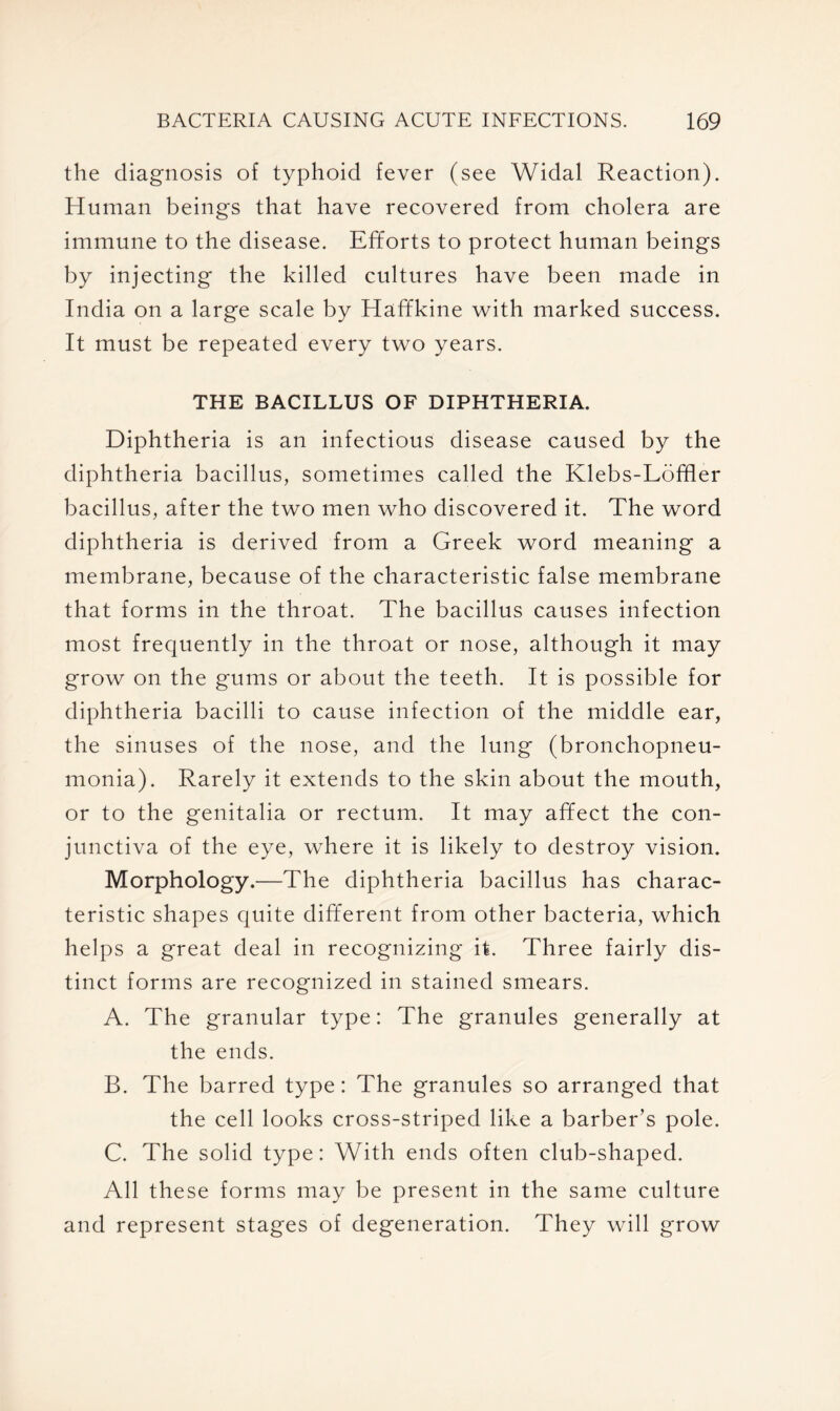 the diagnosis of typhoid fever (see Widal Reaction). Human beings that have recovered from cholera are immune to the disease. Efforts to protect human beings by injecting the killed cultures have been made in India on a large scale by Haffkine with marked success. It must be repeated every two years. THE BACILLUS OF DIPHTHERIA. Diphtheria is an infectious disease caused by the diphtheria bacillus, sometimes called the Klebs-Loffler bacillus, after the two men who discovered it. The word diphtheria is derived from a Greek word meaning a membrane, because of the characteristic false membrane that forms in the throat. The bacillus causes infection most frequently in the throat or nose, although it may grow on the gums or about the teeth. It is possible for diphtheria bacilli to cause infection of the middle ear, the sinuses of the nose, and the lung (bronchopneu- monia). Rarely it extends to the skin about the mouth, or to the genitalia or rectum. It may affect the con- junctiva of the eye, where it is likely to destroy vision. Morphology.—The diphtheria bacillus has charac- teristic shapes quite different from other bacteria, which helps a great deal in recognizing it. Three fairly dis- tinct forms are recognized in stained smears. A. The granular type: The granules generally at the ends. B. The barred type: The granules so arranged that the cell looks cross-striped like a barber’s pole. C. The solid type: With ends often club-shaped. All these forms may be present in the same culture and represent stages of degeneration. They will grow