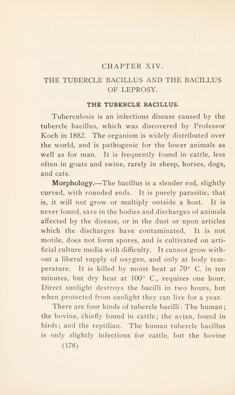 CHAPTER XIV. THE TUBERCLE BACILLUS AND THE BACILLUS OF LEPROSY. THE TUBERCLE BACILLUS. Tuberculosis is an infectious disease caused by the tubercle bacillus, which was discovered by Professor Koch in 1882. The organism is widely distributed over the world, and is pathogenic for the lower animals as well as for man. It is frequently found in cattle, less often in goats and swine, rarely in sheep, horses, dogs, and cats. Morphology.—The bacillus is a slender rod, slightly curved, with rounded ends. It is purely parasitic, that is, it will not grow or multiply outside a host. It is never found, save in the bodies and discharges of animals affected by the disease, or in the dust or upon articles which the discharges have contaminated. It is not motile, does not form spores, and is cultivated on arti- ficial culture media with difficulty. It cannot grow with- out a liberal supply of oxygen, and only at body tem- perature. It is killed by moist heat at 70° C. in ten minutes, but dry heat at 100° C., requires one hour. Direct sunlight destroys the bacilli in two hours, but when protected from sunlight they can live for a year. There are four kinds of tubercle bacilli: The human; the bovine, chiefly found in cattle; the avian, found in birds; and the reptilian. The human tubercle bacillus is only slightly infectious for cattle, but the bovine