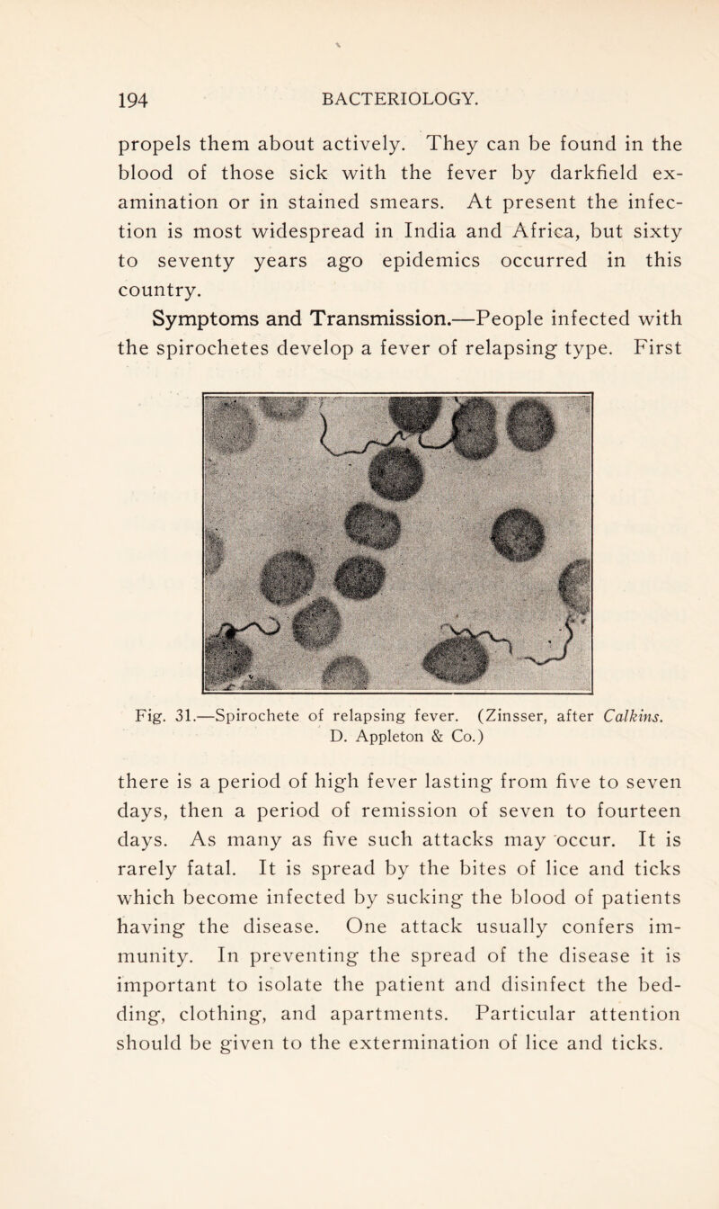 propels them about actively. They can be found in the blood of those sick with the fever by darkfield ex- amination or in stained smears. At present the infec- tion is most widespread in India and Africa, but sixty to seventy years ago epidemics occurred in this country. Symptoms and Transmission.—People infected with the spirochetes develop a fever of relapsing type. First Fig. 31.—Spirochete of relapsing fever. (Zinsser, after Calkins. D. Appleton & Co.) there is a period of high fever lasting from five to seven days, then a period of remission of seven to fourteen days. As many as five such attacks may occur. It is rarely fatal. It is spread by the bites of lice and ticks which become infected by sucking the blood of patients having the disease. One attack usually confers im- munity. In preventing the spread of the disease it is important to isolate the patient and disinfect the bed- ding, clothing, and apartments. Particular attention should be given to the extermination of lice and ticks.