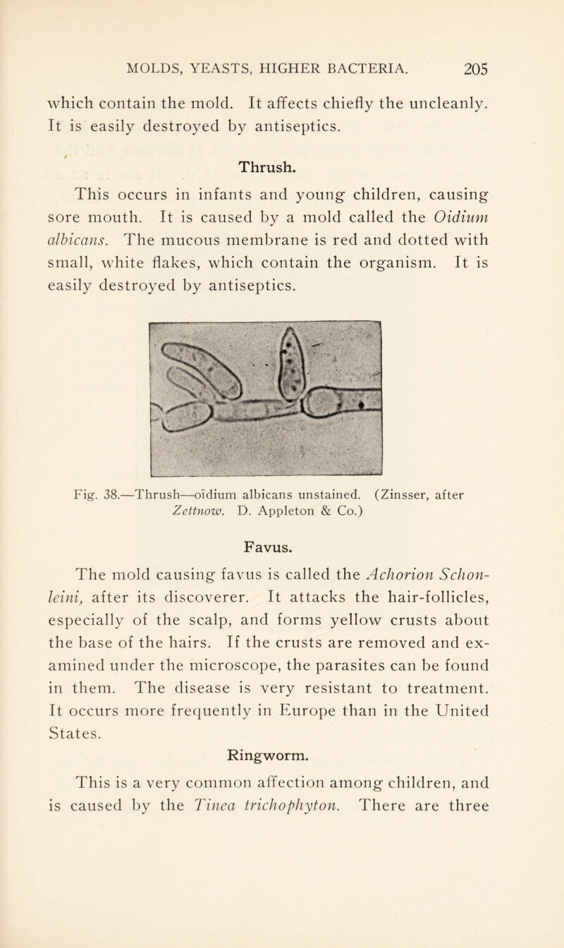 which contain the mold. It affects chiefly the uncleanly. It is easily destroyed by antiseptics. Thrush. This occurs in infants and young children, causing sore mouth. It is caused by a mold called the Oidium albicans. The mucous membrane is red and dotted with small, white flakes, which contain the organism. It is easily destroyed by antiseptics. Fig. 38.—Thrush—oidium albicans unstained. (Zinsser, after Zettnow. D. Appleton & Co.) Favus. The mold causing favus is called the Achorion Schon- leini, after its discoverer. It attacks the hair-follicles, especially of the scalp, and forms yellow crusts about the base of the hairs. If the crusts are removed and ex- amined under the microscope, the parasites can be found in them. The disease is very resistant to treatment. It occurs more frequently in Europe than in the United States. Ringworm. This is a very common affection among children, and is caused by the Tinea trichophyton. There are three