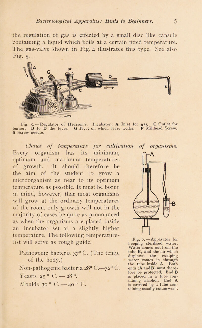 r* the regulation of gas is effected by a small disc like capsule containing a liquid which boils at a certain fixed temperature. The gas-valve shown in Fig. 4 illustrates this type. See also Fig. 5- Fig. 5.-—Regulator of Hearson’s. Incubator. A Inlet for gas. C Outlet for burner. B to D the lever. G Pivot on which lever works. P Millhead Screw. S Screw needle. Choice of temperature for cultivation of organisms. Every organism has its minimum, optimum and maximum temperatures of growth. It should therefore be the aim of the student to grow a microorganism as near to its optimum temperature as possible. It must be borne in mind, however, that most organisms will grow at the ordinary temperatures of the room, only growth will not in the majority of cases be quite as pronounced as when the organisms are placed inside an Incubator set at a slightly higher temperature. The following temperature- , ... Fig. 6.—Apparatus for list will Serve as rough guide. keeping sterilised water. Water conies out from the Pathogenic bacteria 370 C. (The temp, of the body.) Non-pathogenic bacteria 28° C.—320 C. Yeasts 25 0 C. — 28°. Moulds 30 0 C. — 40 0 C. tube B, and the air which displaces the escaping water comes in through the tube inside A. Both ends (A and B) must there- fore be protected. End B is placed in a tube con- taining alcohol. End A is covered by a tube con- taining usually cottonwool.