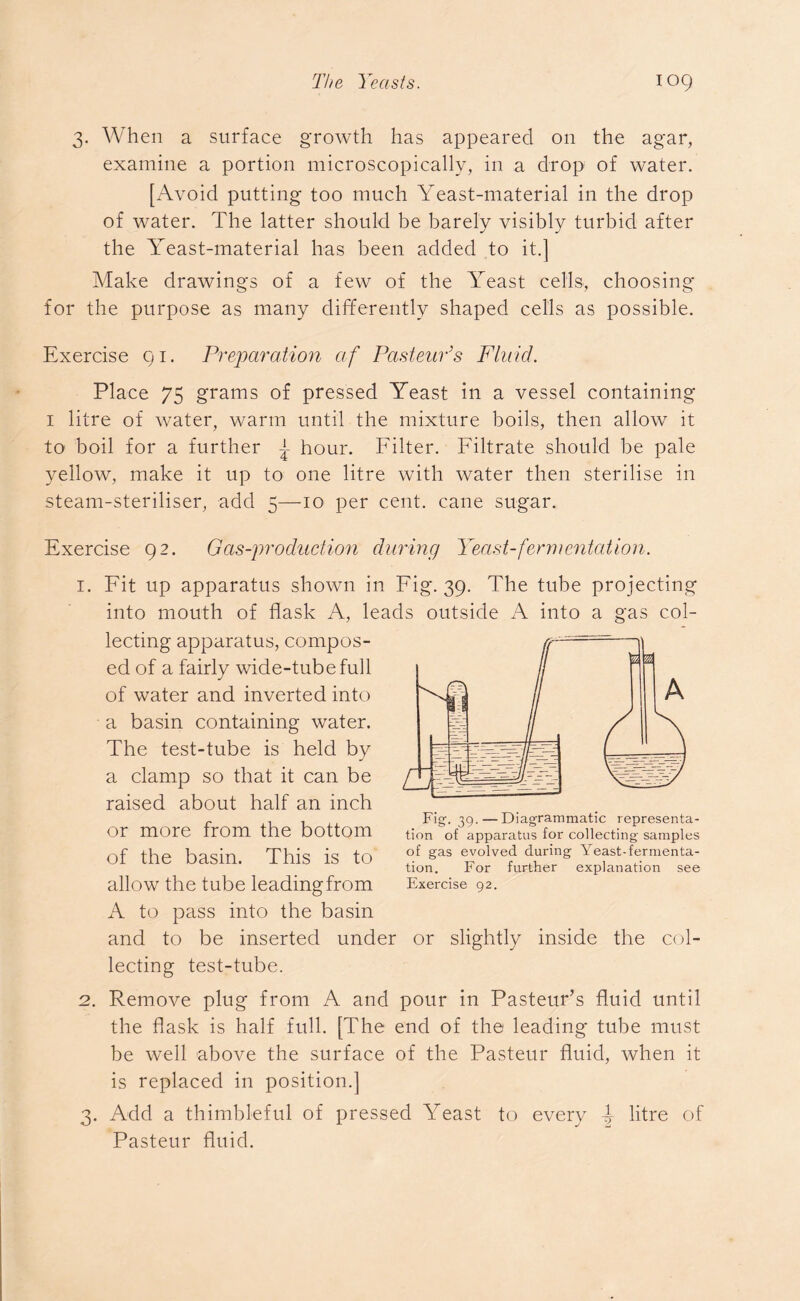 3. When a surface growth has appeared on the agar, examine a portion microscopically, in a drop of water. [Avoid putting too much Yeast-material in the drop of water. The latter should be barely visibly turbid after the Yeast-material has been added to it.] Make drawings of a few of the Yeast cells, choosing for the purpose as many differently shaped cells as possible. Exercise 91. Preparation af Pasteur’s Fluid. Place 75 grams of pressed Yeast in a vessel containing 1 litre of water, warm until the mixture boils, then allow it to boil for a further hour. Filter. Filtrate should be pale yellow, make it up to one litre with water then sterilise in steam-steriliser, add 5—10 per cent, cane sugar. Exercise 92. Gas-production during Yeast-fermentation. 1. Fit up apparatus shown in Fig. 39. The tube projecting into mouth of flask A, leads outside A into a gas col- lecting apparatus, compos- ed of a fairly wide-tubefull of water and inverted into a basin containing water. The test-tube is held by a clamp so that it can be raised about half an inch or more from the bottom of the basin. This is to allow the tube leading from A to pass into the basin and to be inserted under or slightly inside the col- lecting test-tube. 2. Remove plug from A and pour in Pasteur’s fluid until the flask is half full. [The end of the leading tube must be well above the surface of the Pasteur fluid, when it is replaced in position.] 3. Add a thimbleful of pressed Yeast to every 4- litre of Pasteur fluid. Fig. 39. — Diagrammatic representa- tion of apparatus for collecting samples of gas evolved during Yeast-fermenta- tion. For further explanation see Exercise 92.
