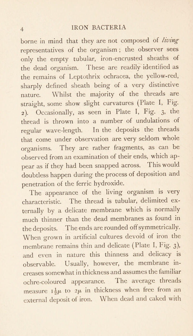 borne in mind that they are not composed of living representatives of the organism ; the observer sees only the empty tubular, iron-encrusted sheaths of the dead organism. These are readily identified as the remains of Leptothrix ochracea, the yellow-red, sharply defined sheath being of a very distinctive nature. Whilst the majority of the threads are straight, some show slight curvatures (Plate I, Fig. 2). Occasionally, as seen in Plate I, Fig. 3, the thread is thrown into a number of undulations of regular wave-length. In the deposits the threads that come under observation are very seldom whole organisms. They are rather fragments, as can be observed from an examination of their ends, which ap- pear as if they had been snapped across. This would doubtless happen during the process of deposition and penetration of the ferric hydroxide. The appearance of the living organism is very characteristic. The thread is tubular, delimited ex- ternally by a delicate membrane which is normally much thinner than the dead membranes as found in the deposits. The ends are rounded off symmetrically. W^hen grown in artificial cultures devoid of iron the membrane remains thin and delicate (Plate I, Fig. 3), and even in nature this thinness and delicacy is observable. Usually, however, the membrane in- creases somewhat in thickness and assumes the familiar ochre-coloured appearance. The average threads measure to 2/x in thickness when free from an external deposit of iron. When dead and caked with