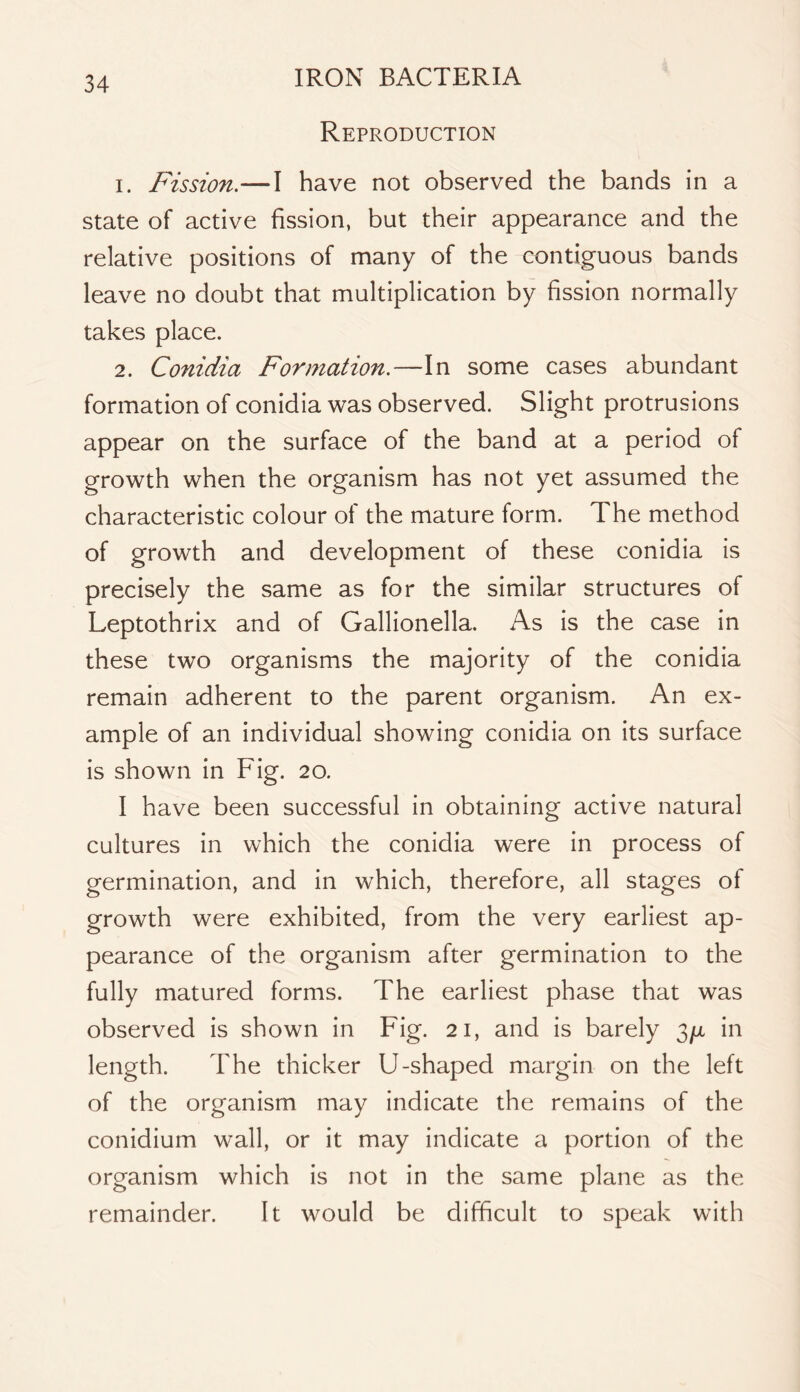 Reproduction 1. Fission.—I have not observed the bands in a state of active fission, but their appearance and the relative positions of many of the contiguous bands leave no doubt that multiplication by fission normally takes place. 2. Conidia Formation.—In some cases abundant formation of conidia was observed. Slight protrusions appear on the surface of the band at a period of growth when the organism has not yet assumed the characteristic colour of the mature form. The method of growth and development of these conidia is precisely the same as for the similar structures of Leptothrix and of Gallionella. As is the case in these two organisms the majority of the conidia remain adherent to the parent organism. An ex- ample of an individual showing conidia on its surface is shown in Fig. 20. I have been successful in obtaining active natural cultures in which the conidia were in process of germination, and in which, therefore, all stages of growth were exhibited, from the very earliest ap- pearance of the organism after germination to the fully matured forms. The earliest phase that was observed is shown in Fig. 21, and is barely 3/x in length. The thicker U-shaped margin on the left of the organism may indicate the remains of the conidium wall, or it may indicate a portion of the organism which is not in the same plane as the remainder. It would be difficult to speak with